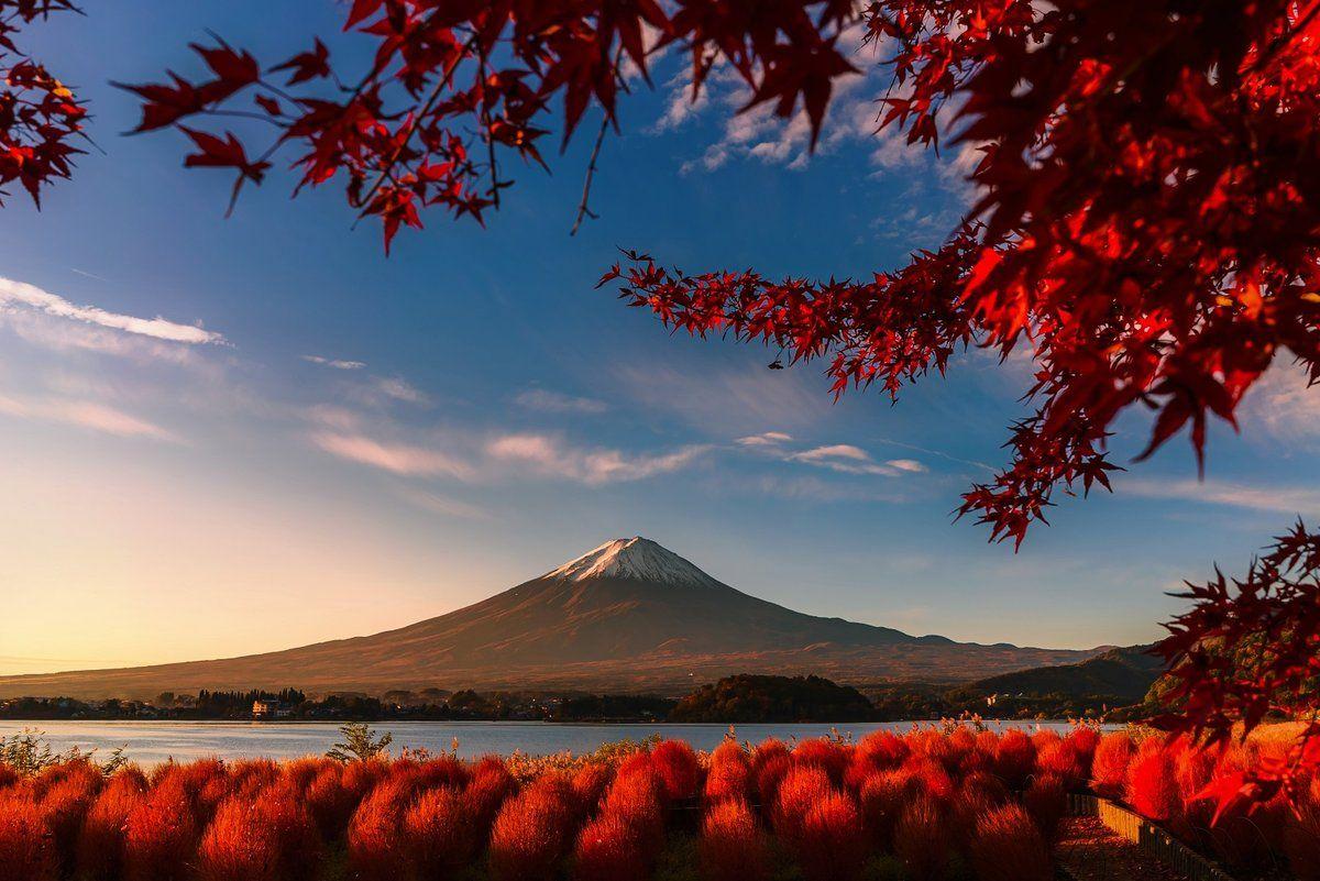 1200x801 stunning photo from the National Sony World Photography Awa