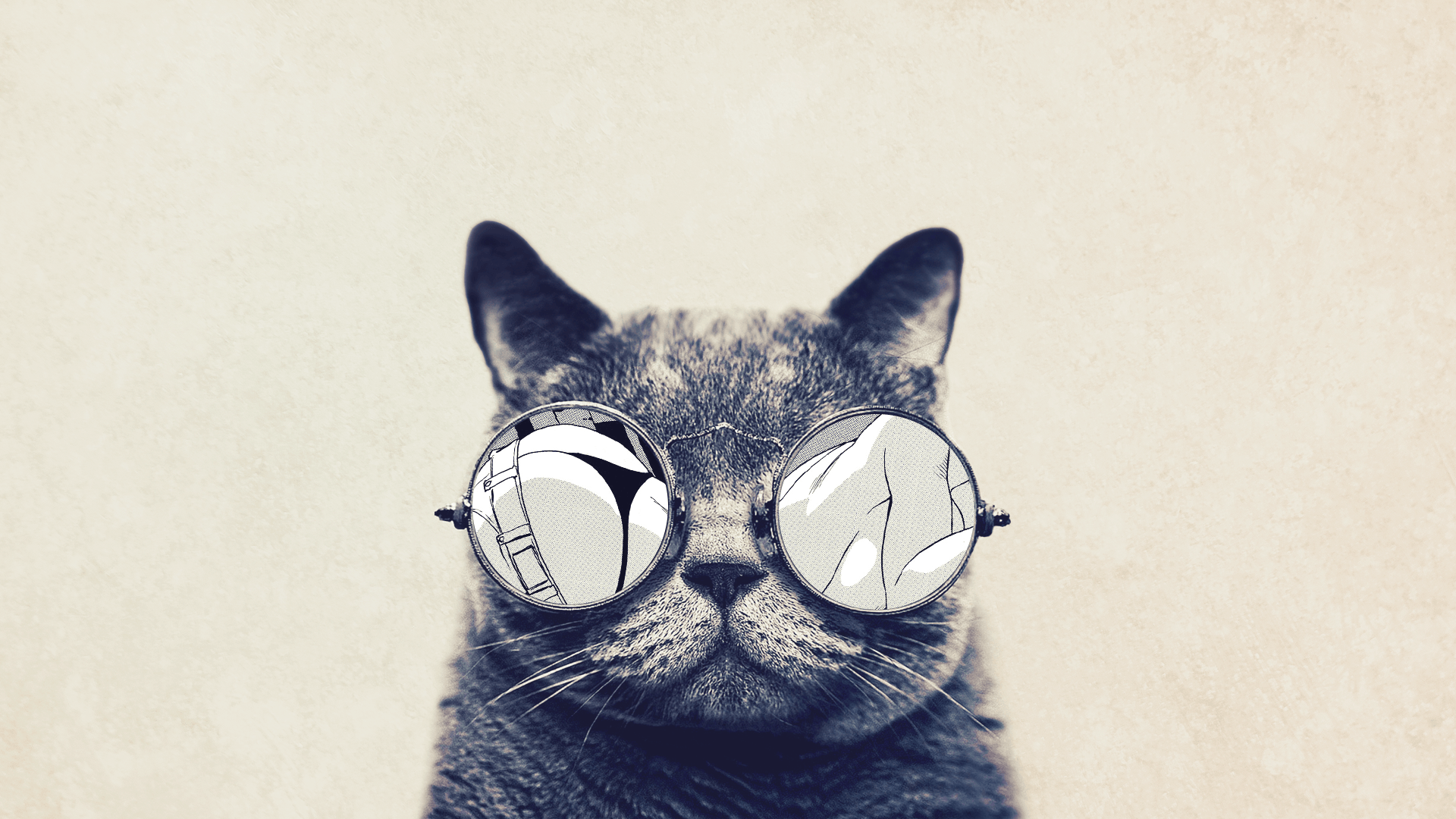 1920x1080 Cats. Cat, Kitten and Zoos
