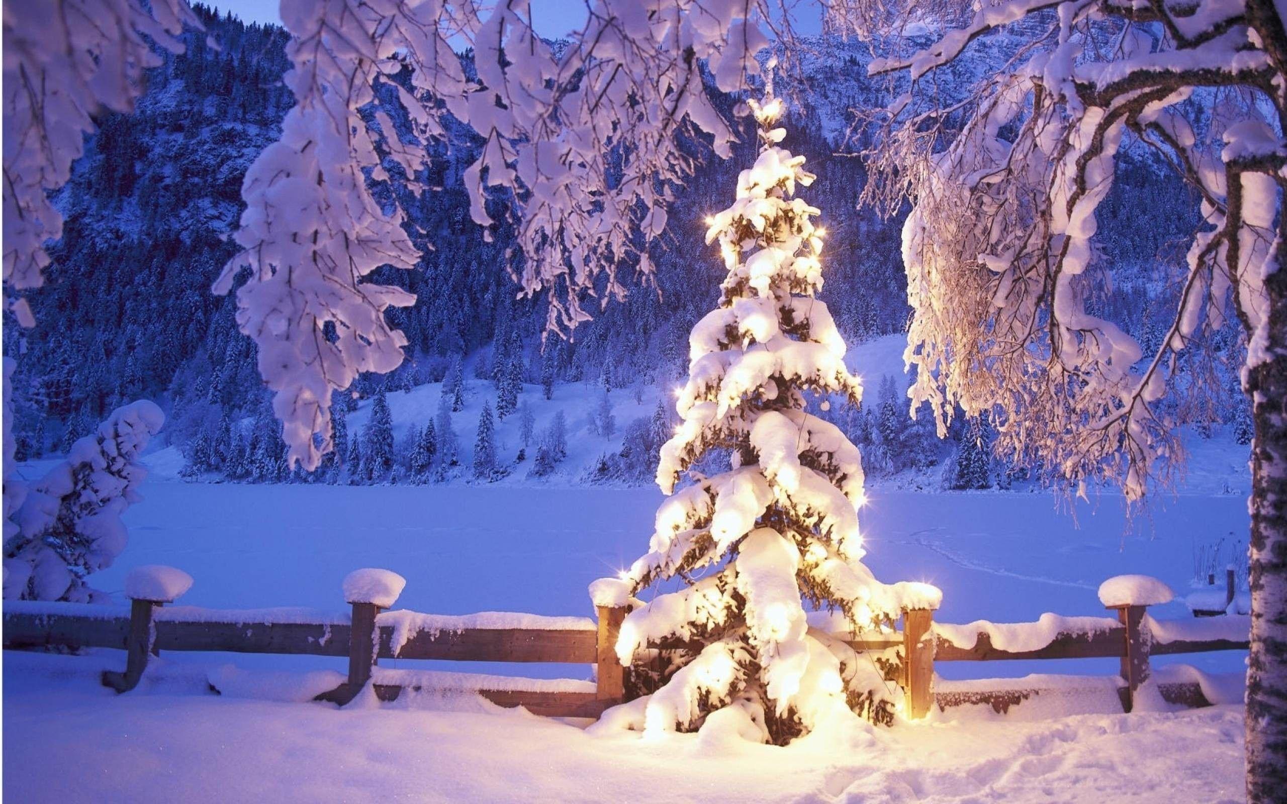 2560x1600 Christmas Scenes Free Downloads posted .