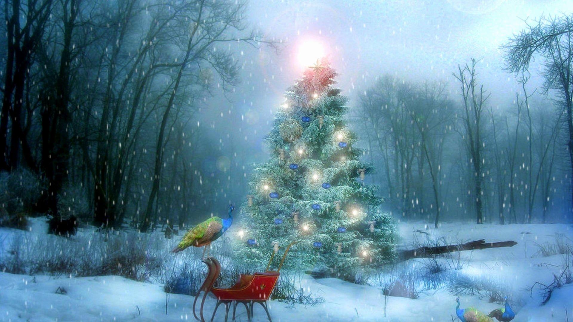 Christmas Snow Scenes Wallpapers - Top Free Christmas Snow Scenes ...