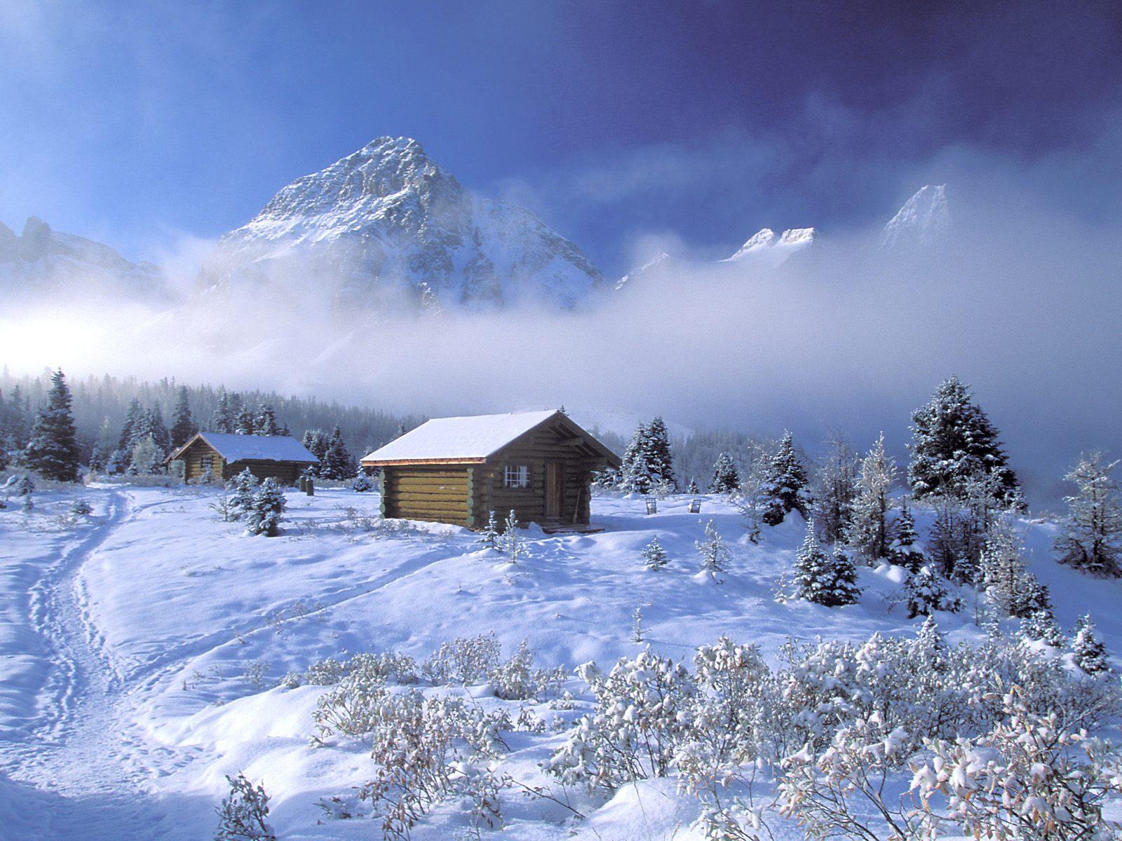 1600x1200 Christmas Snow Scene Wallpaper .avante.biz