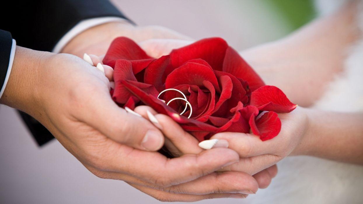 Wedding Hands Wallpapers Top Free Wedding Hands Backgrounds