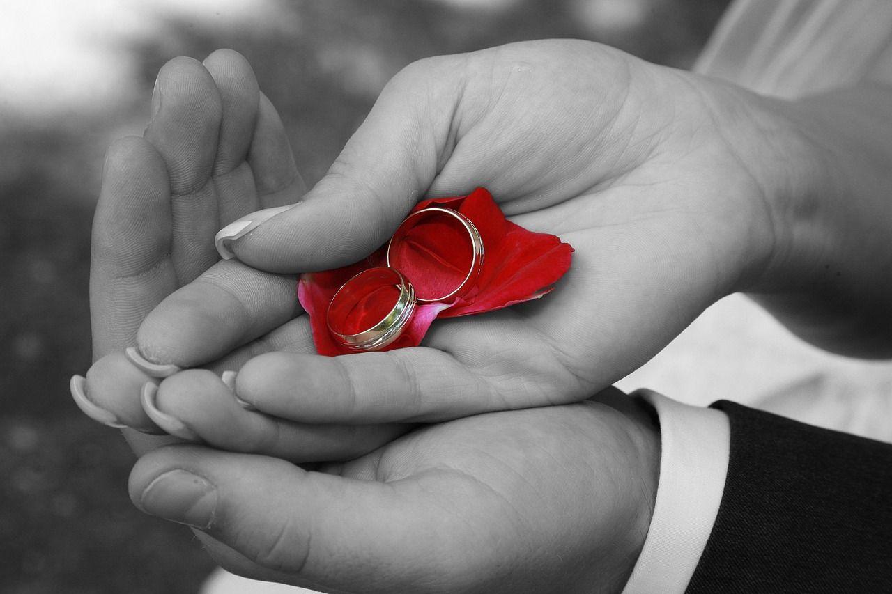 1280x853 Wedding Rings