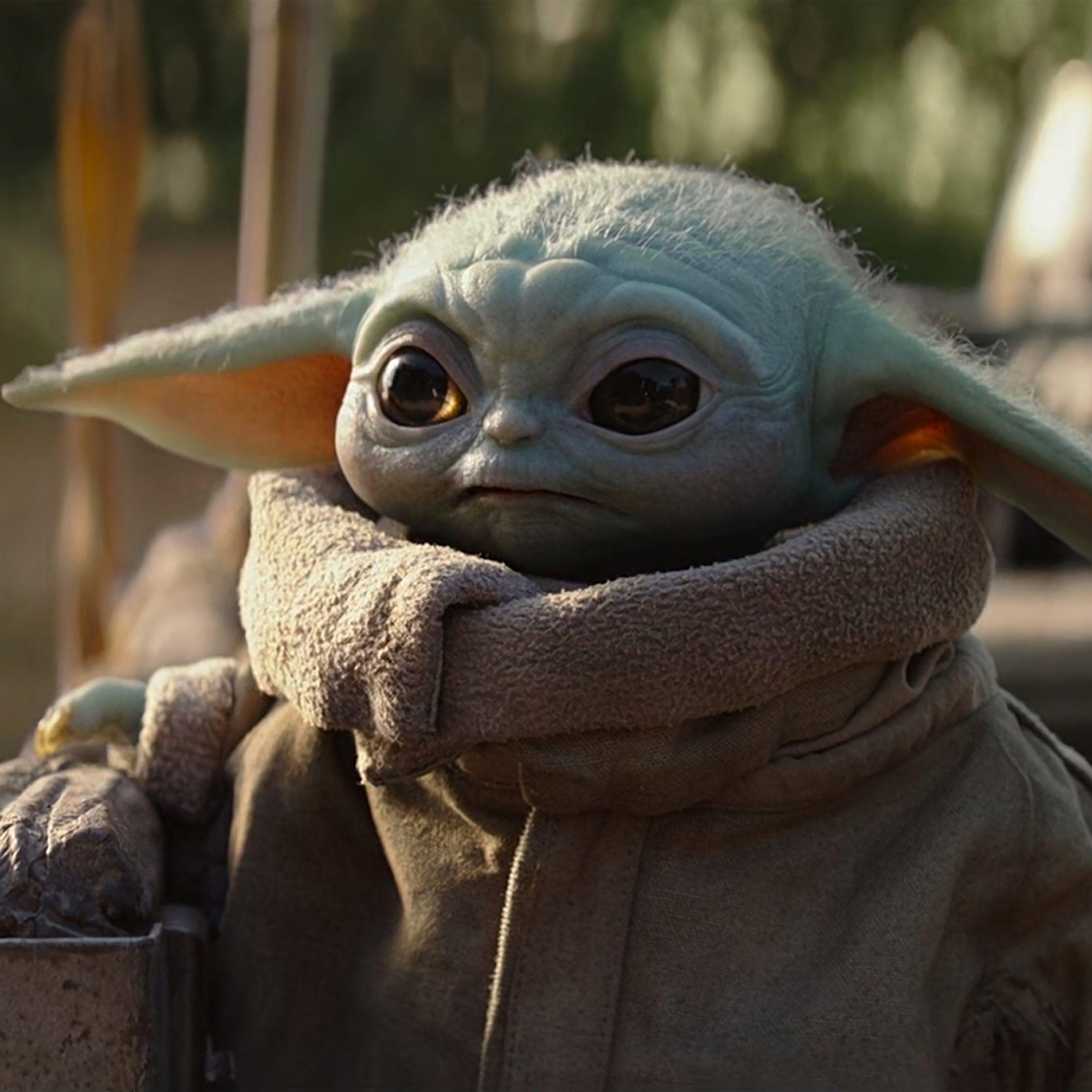 1K Baby Yoda Pictures  Download Free Images on Unsplash