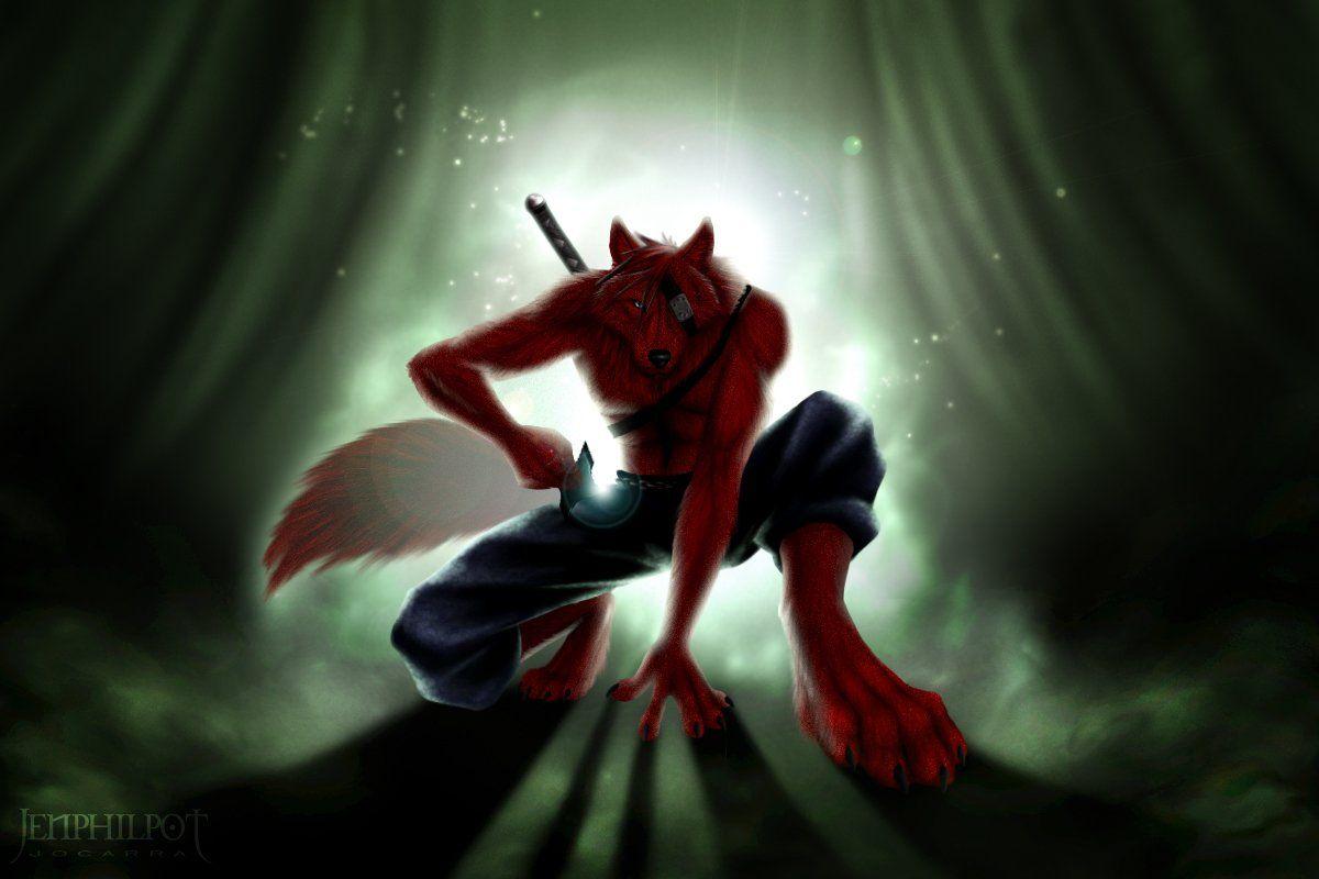 1200x800 Free download Furry Fandom Wolves Foxes .