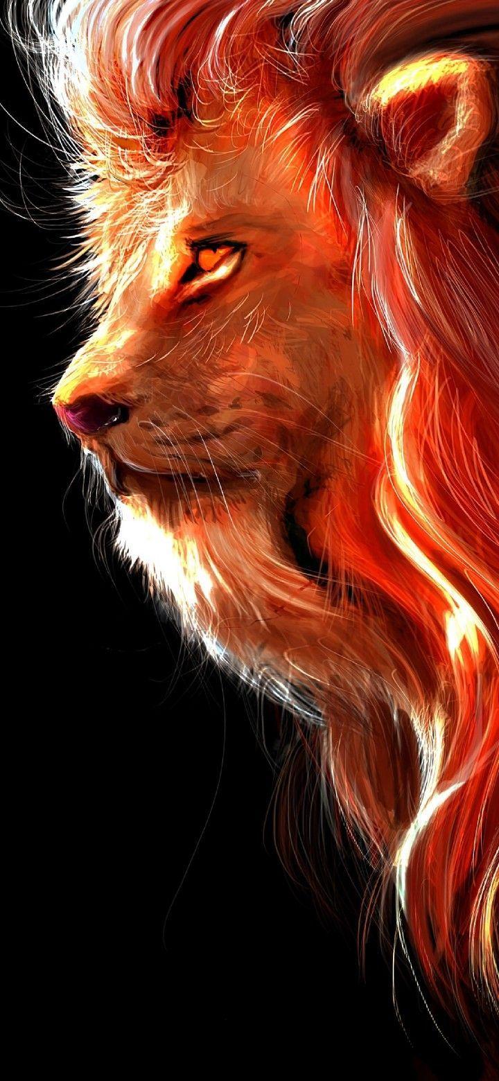 720x1560 Lion wallpaper. Lion wallpaper, Lion live wallpaper, Lion art