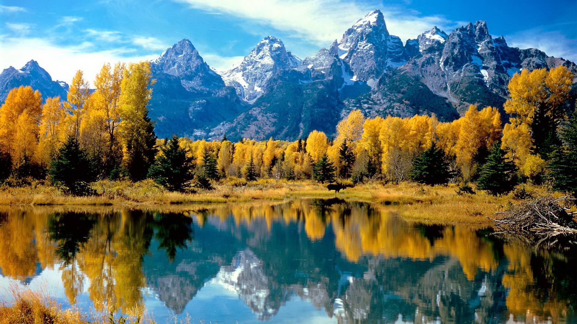 1920x1080 30++ Wallpaper Full HD 1920x1080 Nature .bastywallpaper.