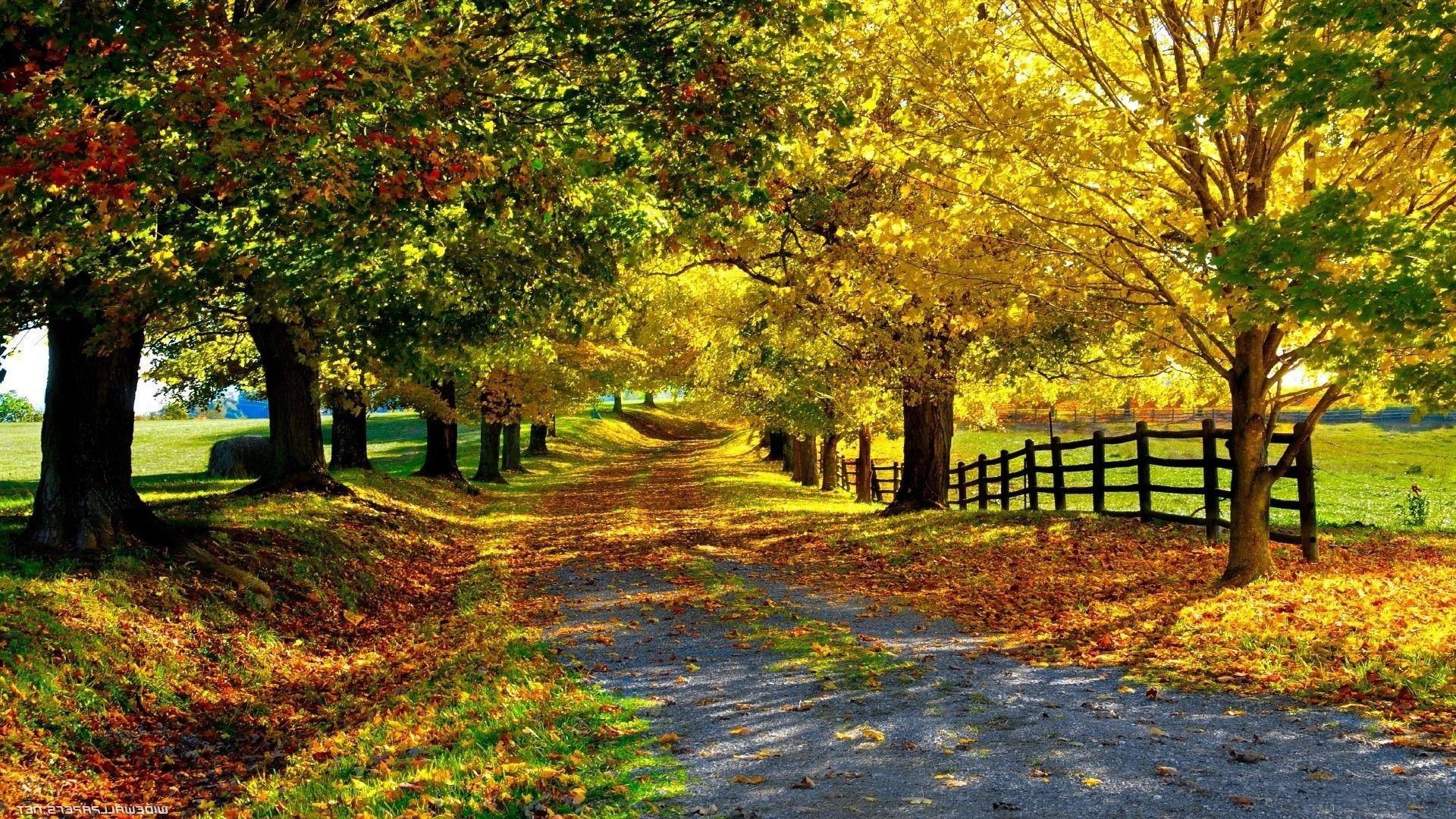 1920x1080 Nature Wallpaper HD For Desktop .