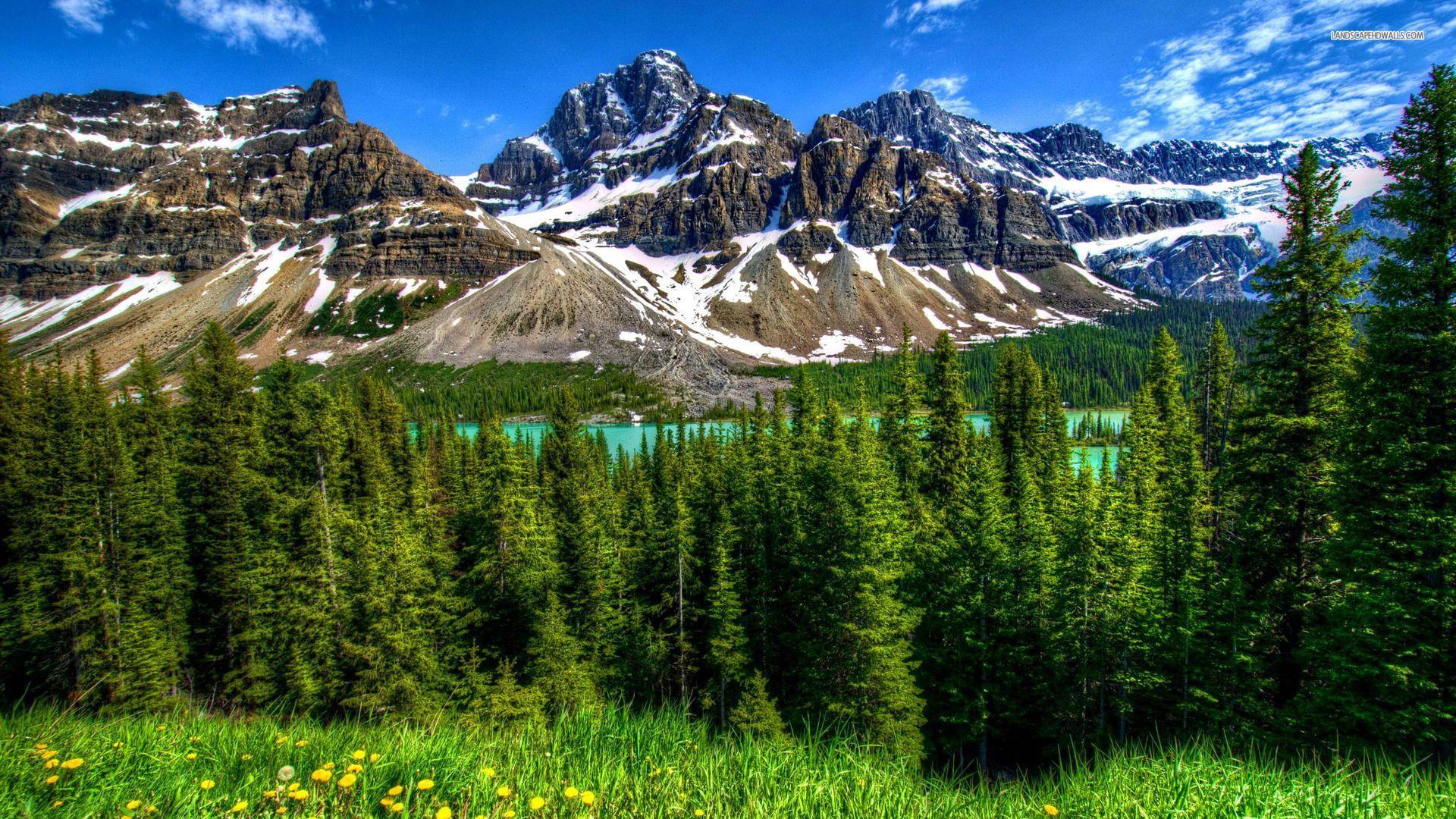 1920x1080 Nature Desktop Background 1920x1080 .