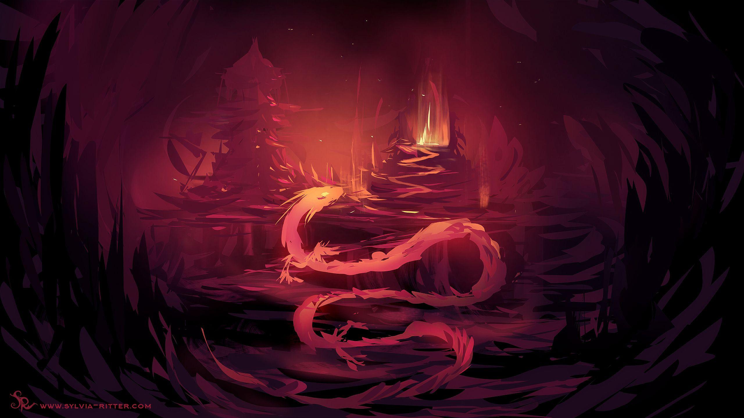 2560x1440 Red Digital Dragon 1440P Resolution .