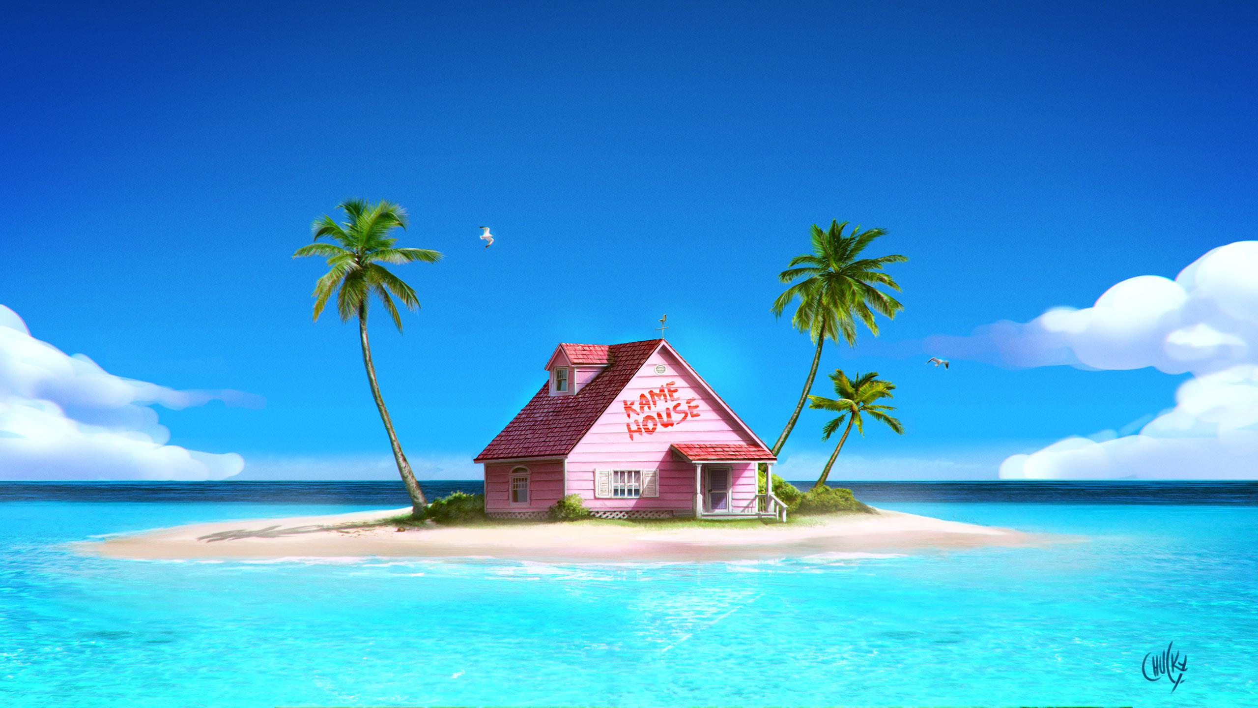 2560x1440 Dragon Ball Z Kame House Wallpaper .