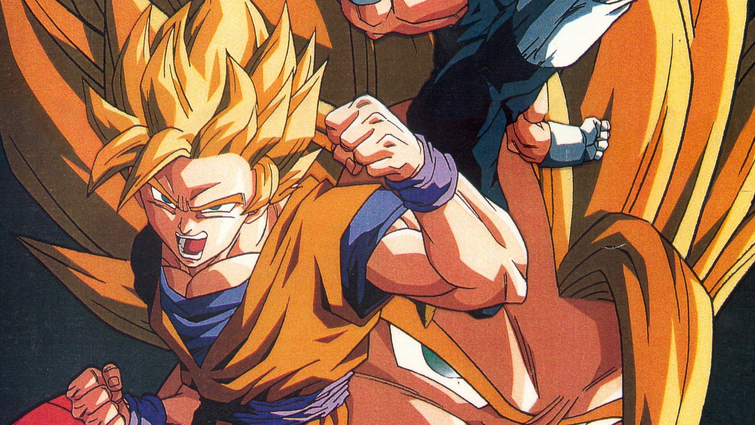 2560x1440 Vegeta Son Goku Vegeto Dragon Ball Z .