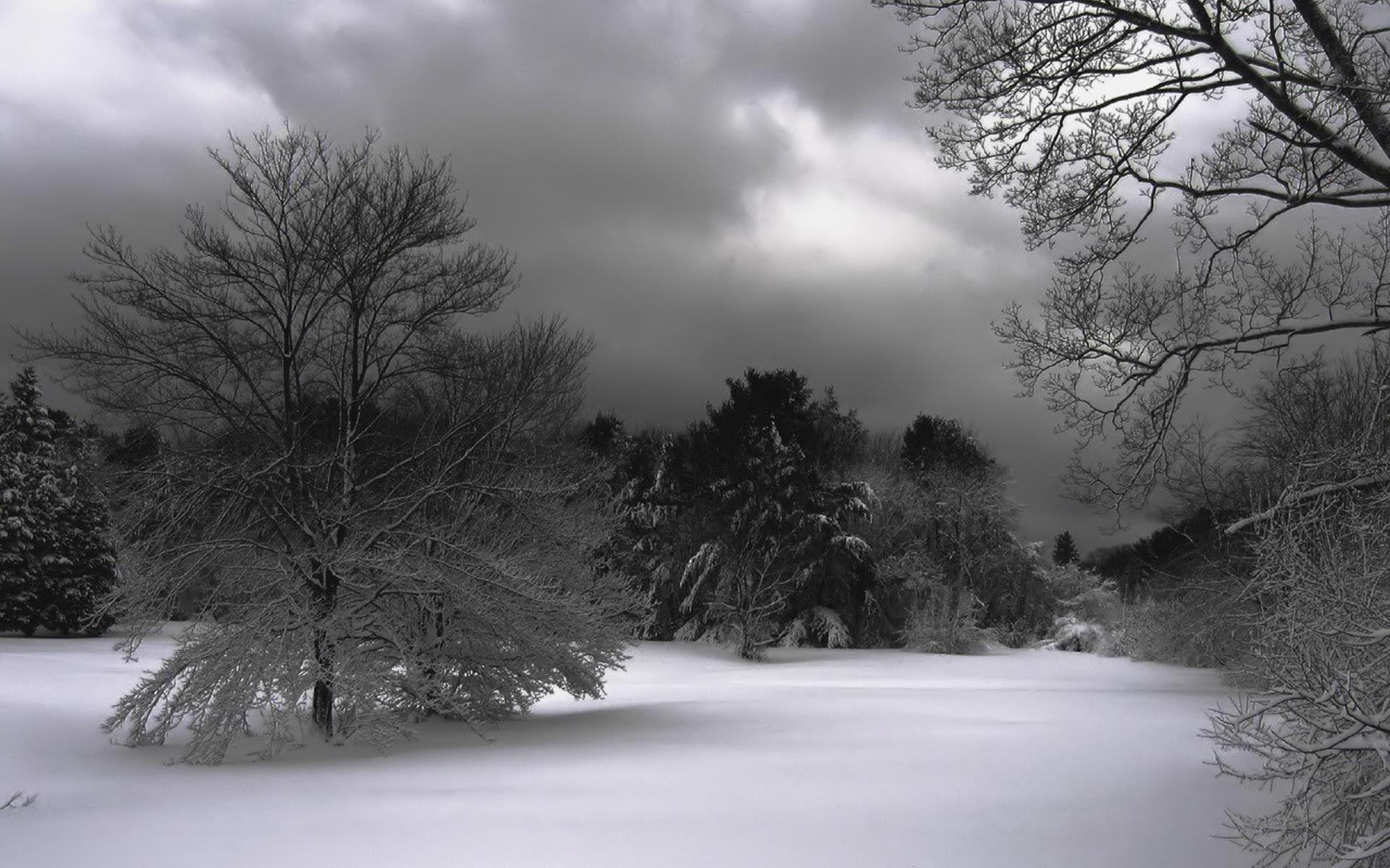 1920x1200 Dark Winter Night Wallpaper