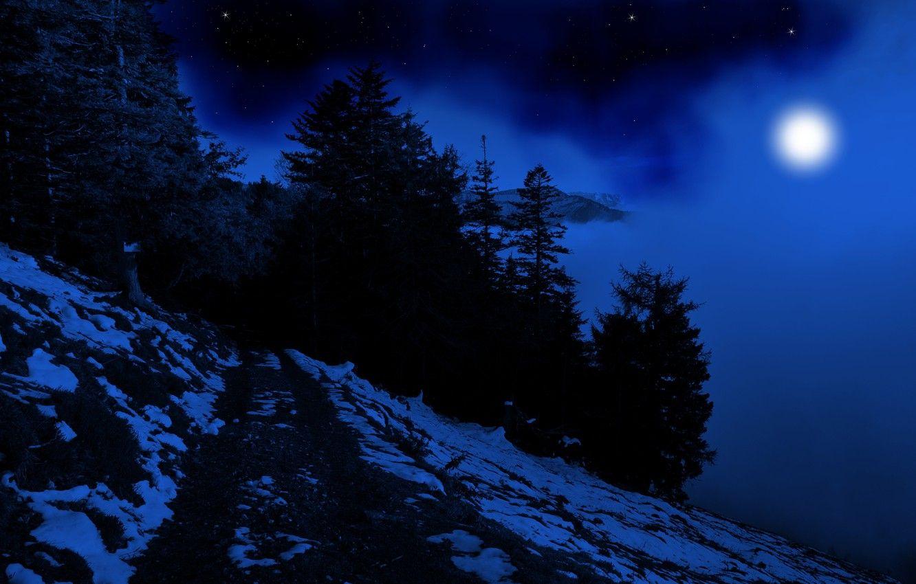 1332x850 sky, snow, trees, nature, fog, darkness .