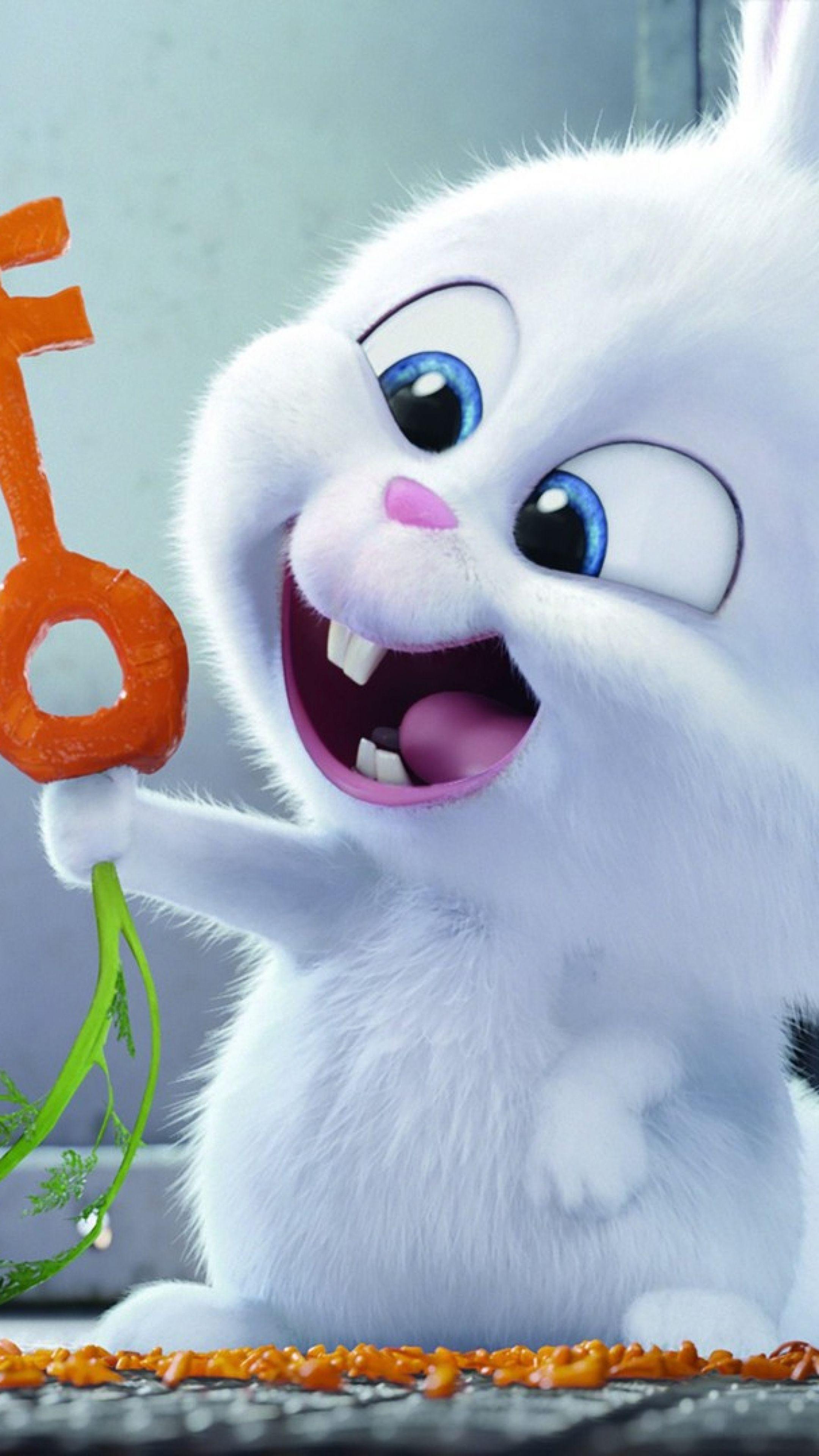 2160x3840 Rabbit Cartoon Wallpaper