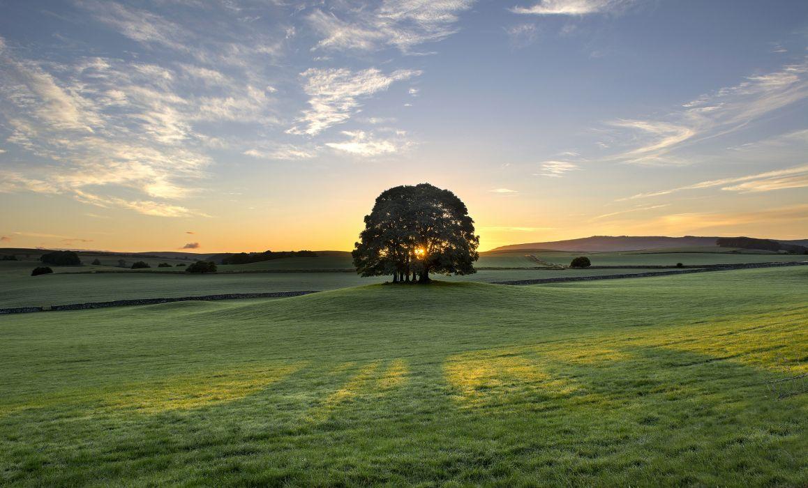 1158x700 Dawn sunrise morning meadow wallpaper .