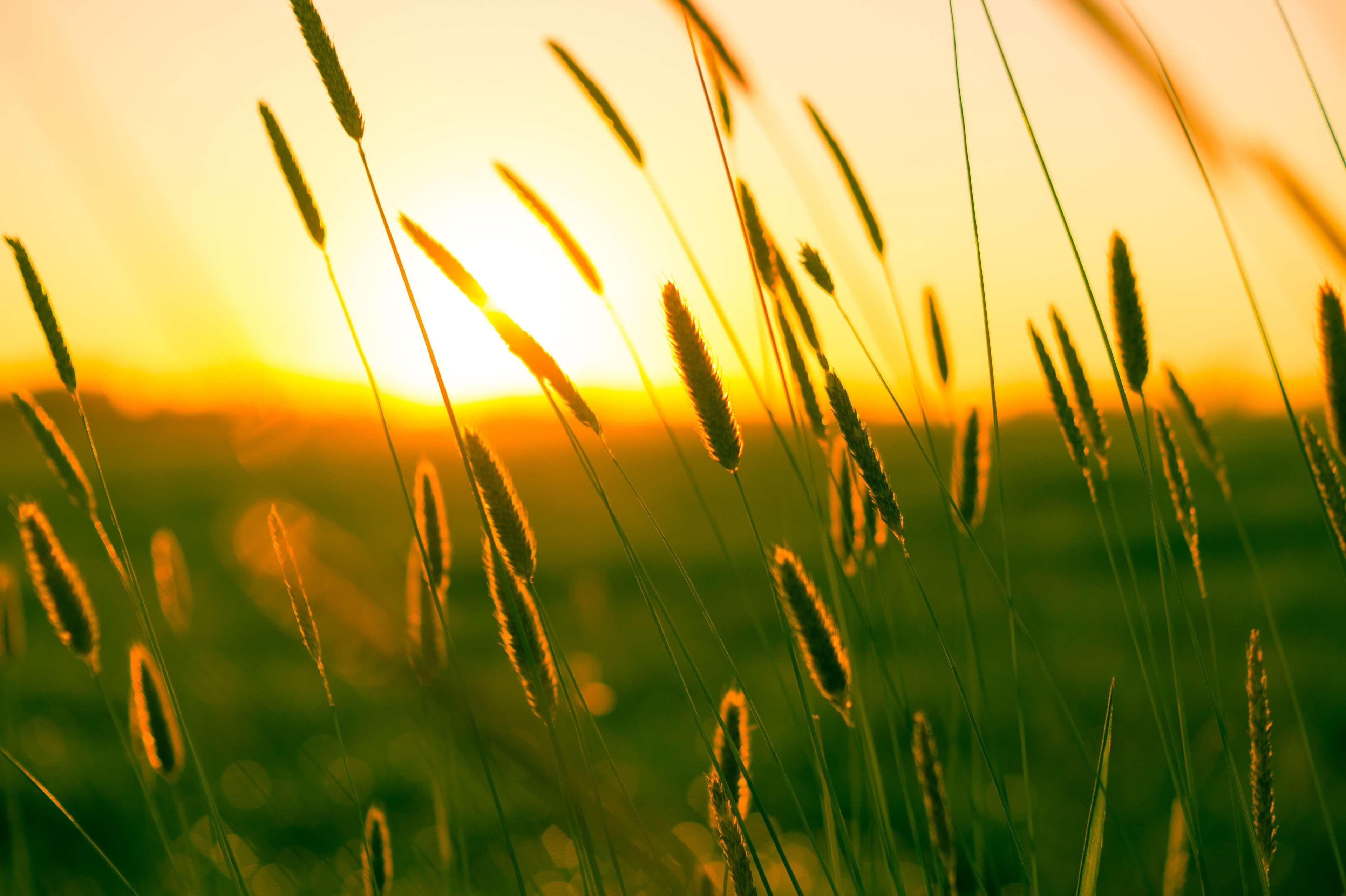 3840x2556 sun #sunrise #sunset #warmth .com