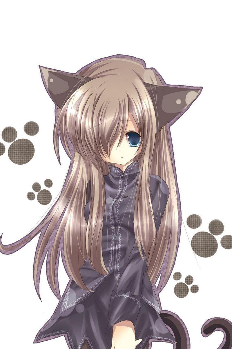 800x1200 Anime Cat Girl Wallpaper