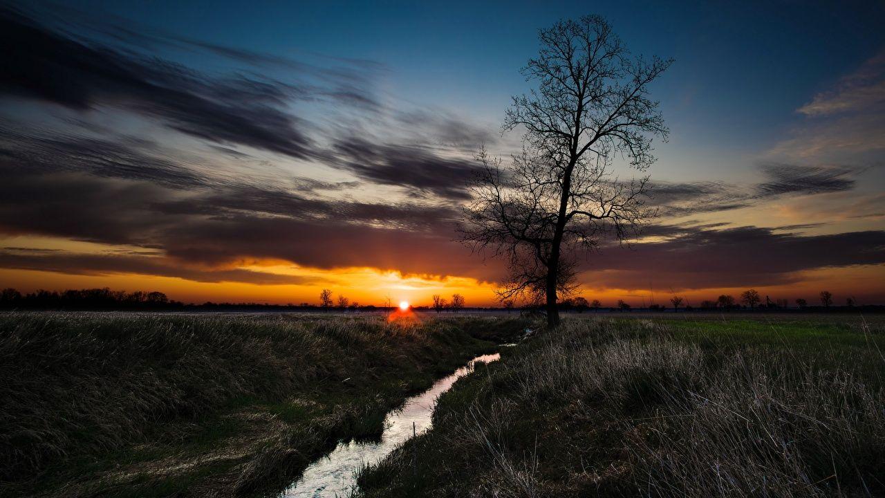 1280x720 Wallpaper Sun Creeks Nature Meadow .