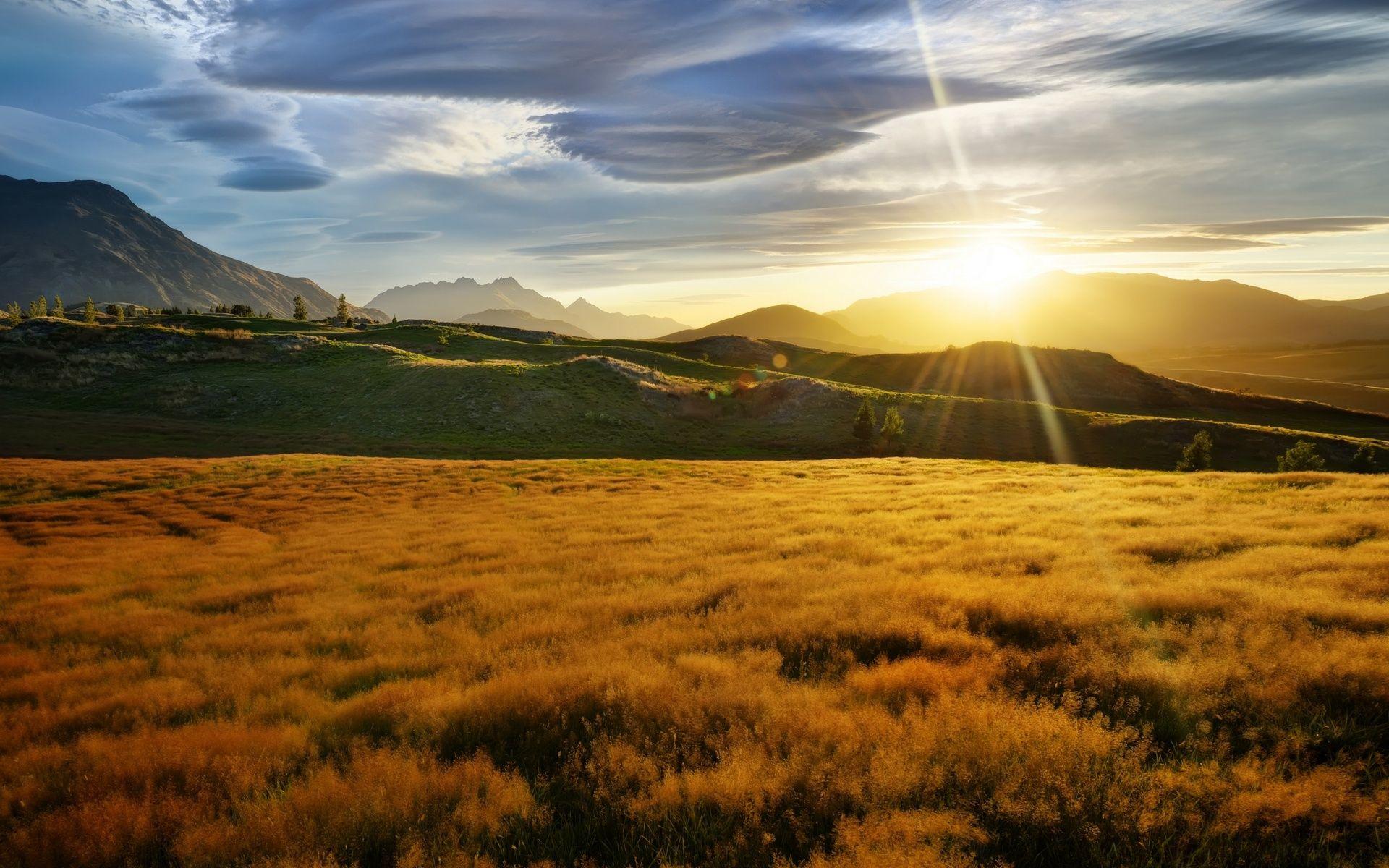 1920x1200 nature, Landscapes, Meadow, Fields .