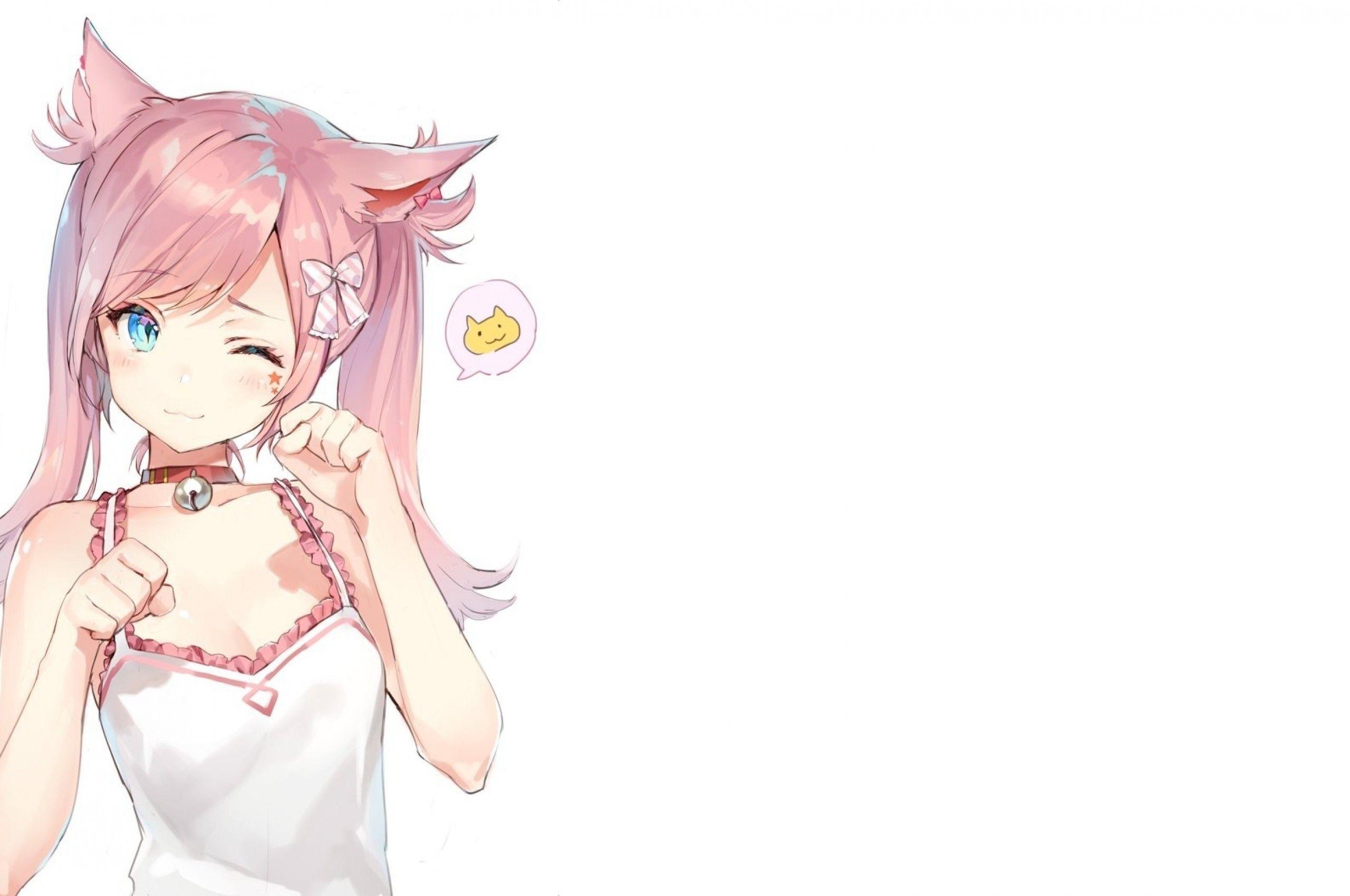 2560x1700 Cute Pink Anime Cat Girl Wallpaper .novocom.top