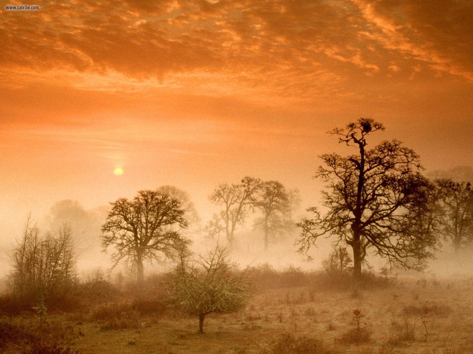 1600x1200 Foggy Meadow Sunrise Corvallis Oregon .