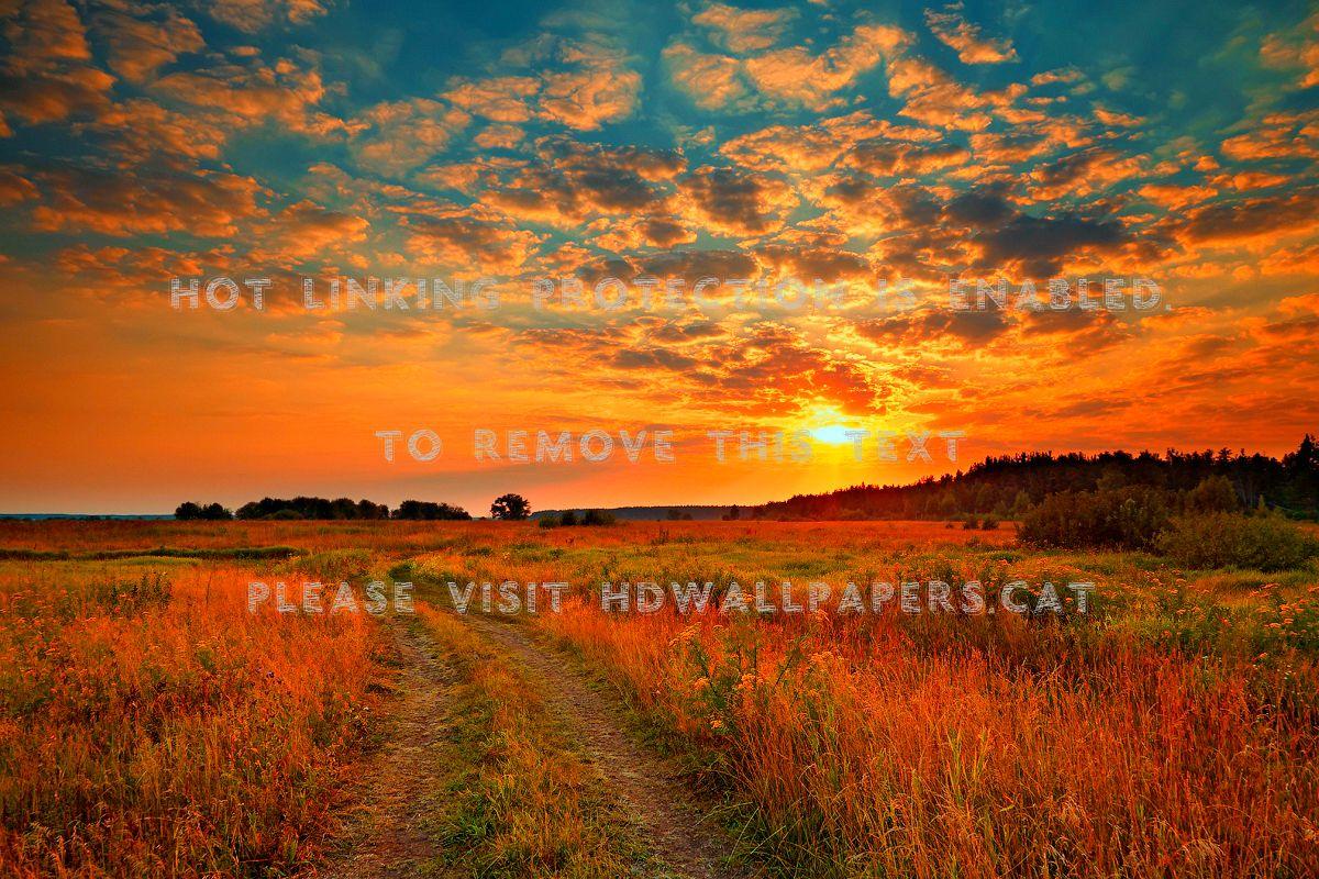 1200x800 sunrise field lvoely orange path meadow skyhdwallpaper.cat