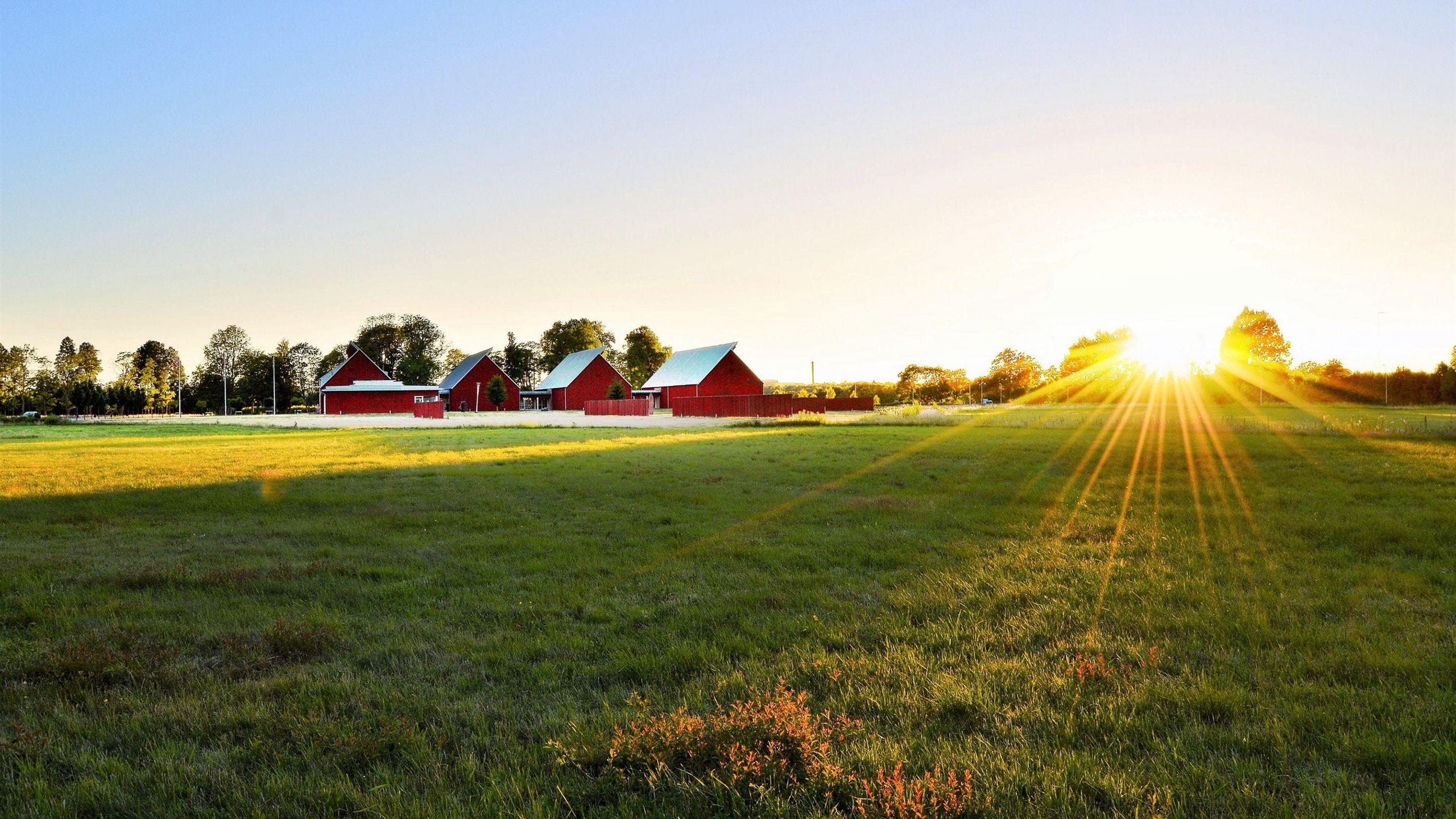 2560x1440 Agriculture Barn Countryside Meadow .