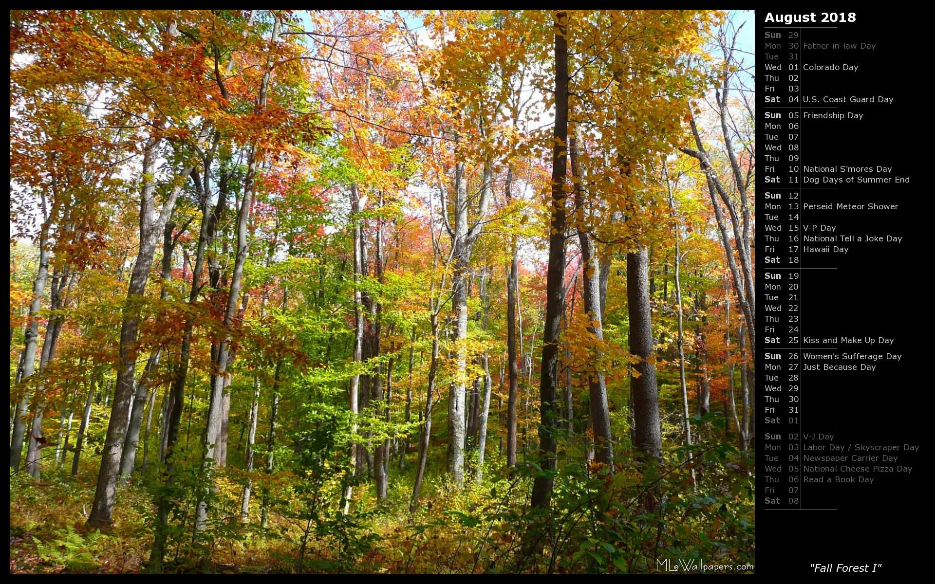 1920x1200 MLeWallpaper.com Forest I (Calendar)