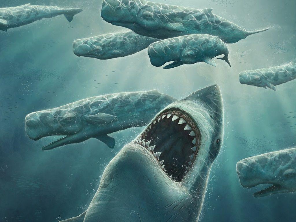 1024x768 Fantasy Wallpaper : Megalodon .com