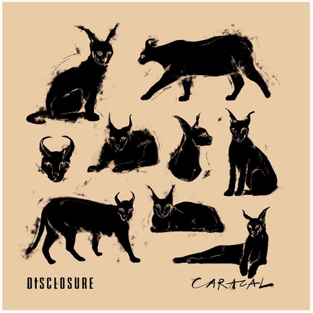 1100x1100 Disclosure