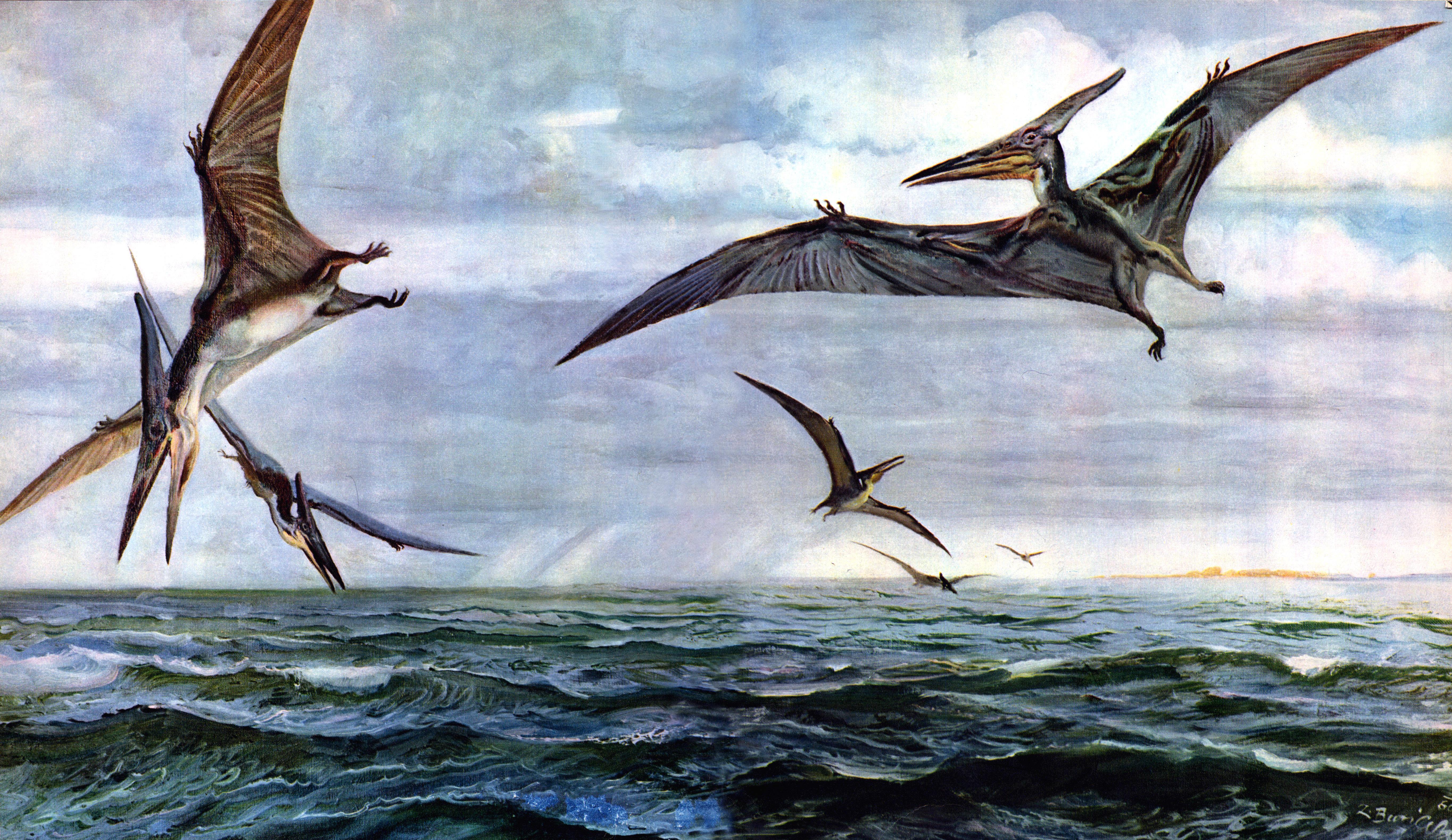 5458x3160 Pterodactyl
