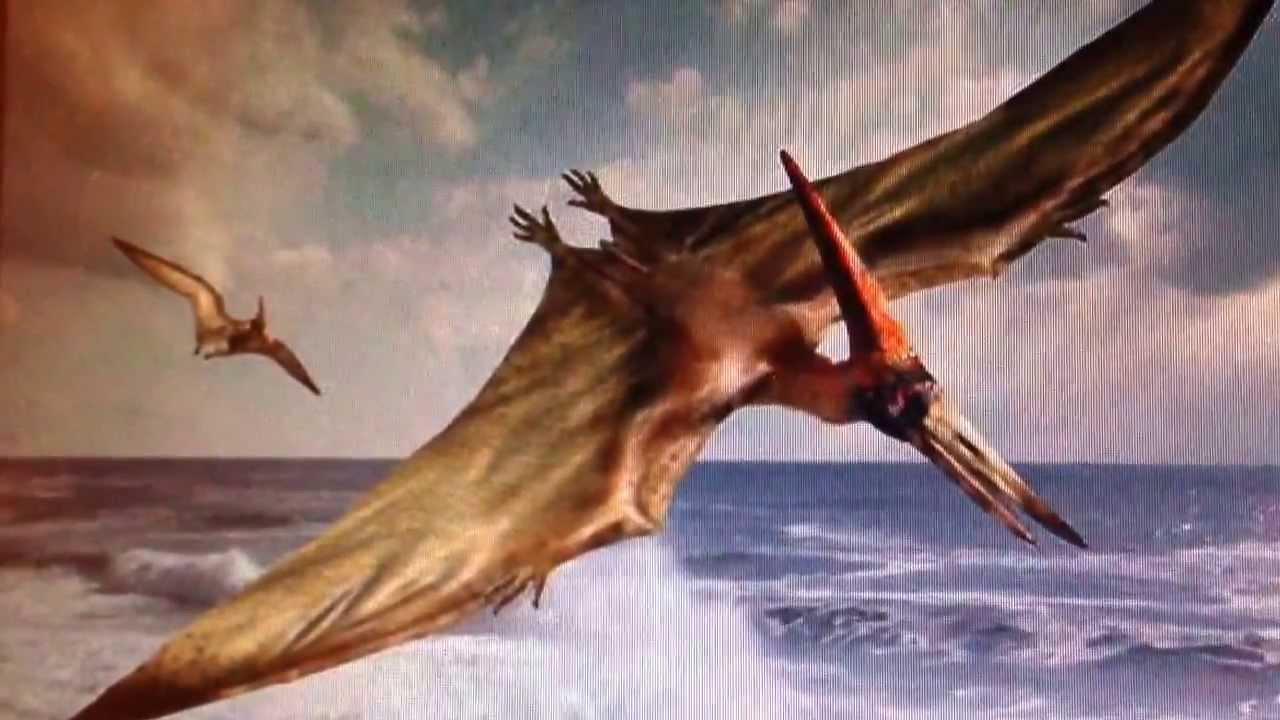 1280x720 Pterodactyl