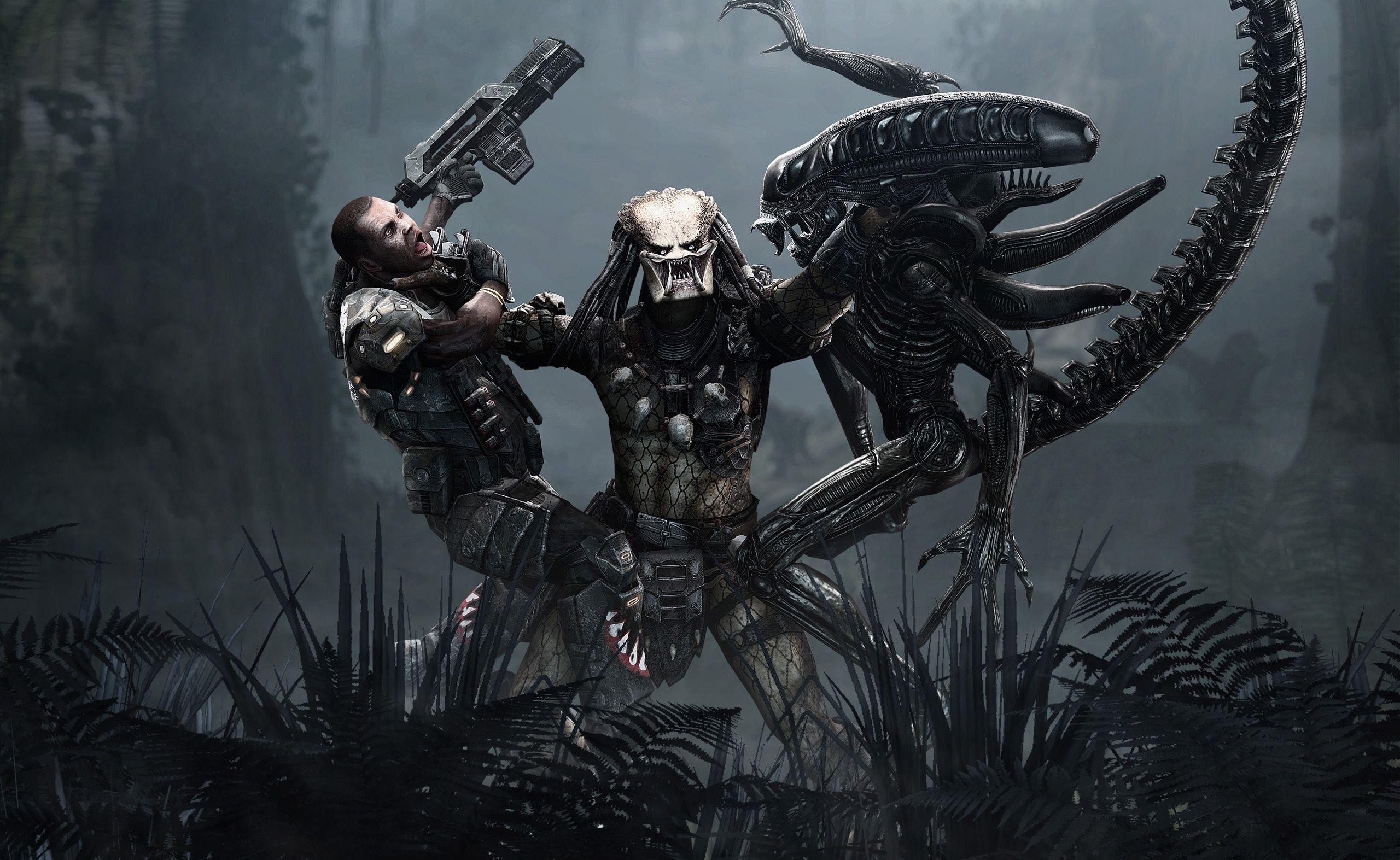 2560x1573 Predator 4k