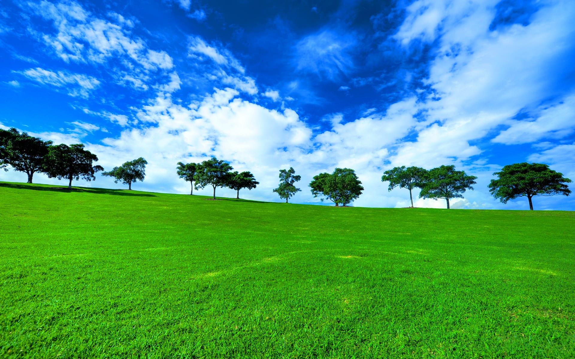 Hd Green Landscape Wallpapers Top Free Hd Green Landscape Backgrounds