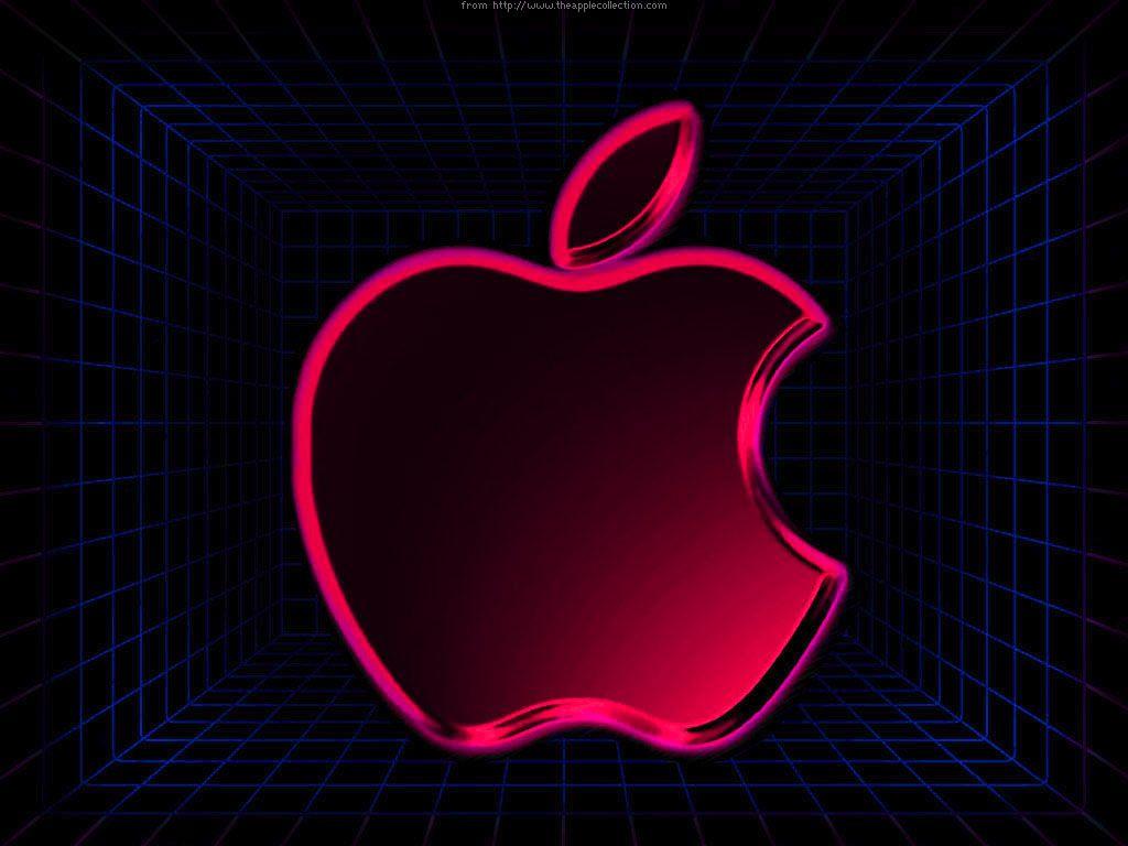 1024x768 Neon Wallpaper, Neon Animal Wallpaper .