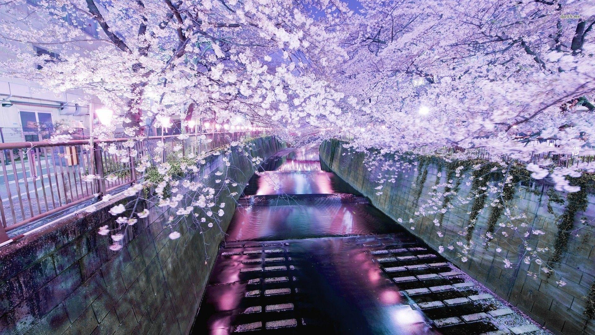 1920x1080 Tokyo Wallpaper 1920x1080