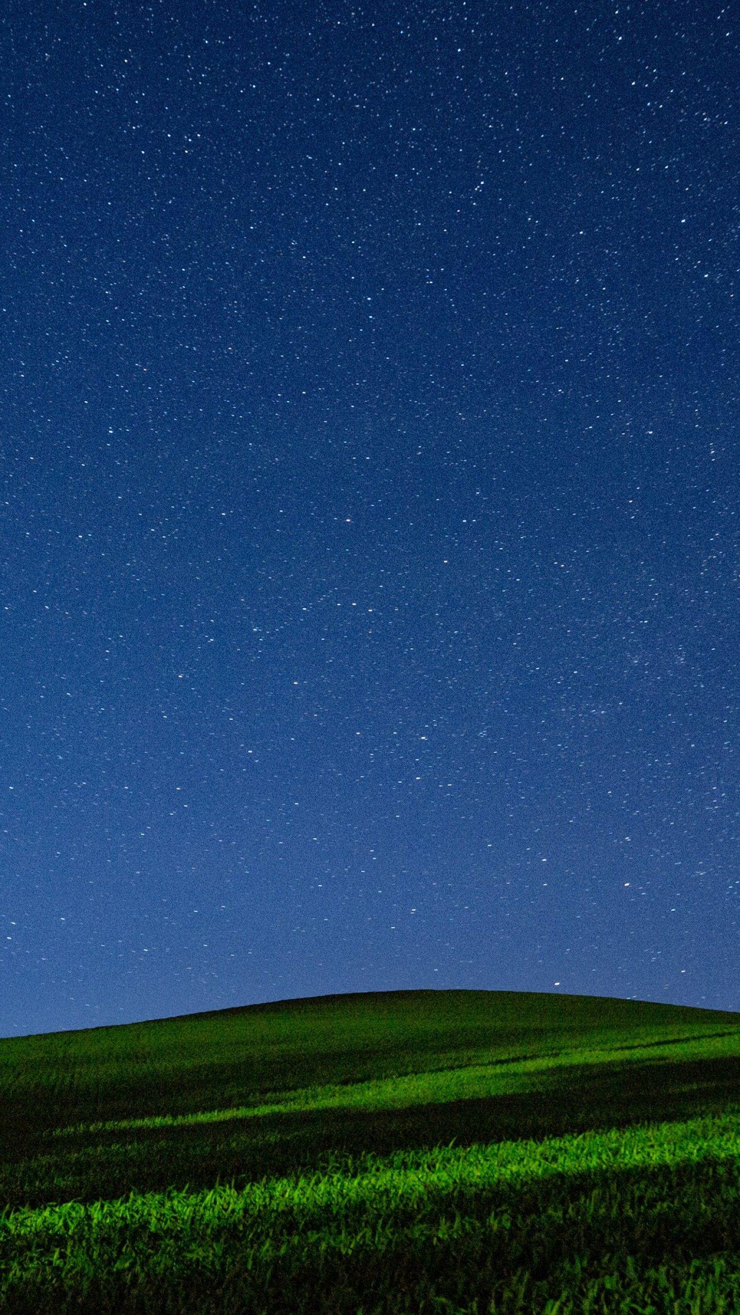 1440x2560 Wallpaper Meadows, 5k, 4k wallpaper .