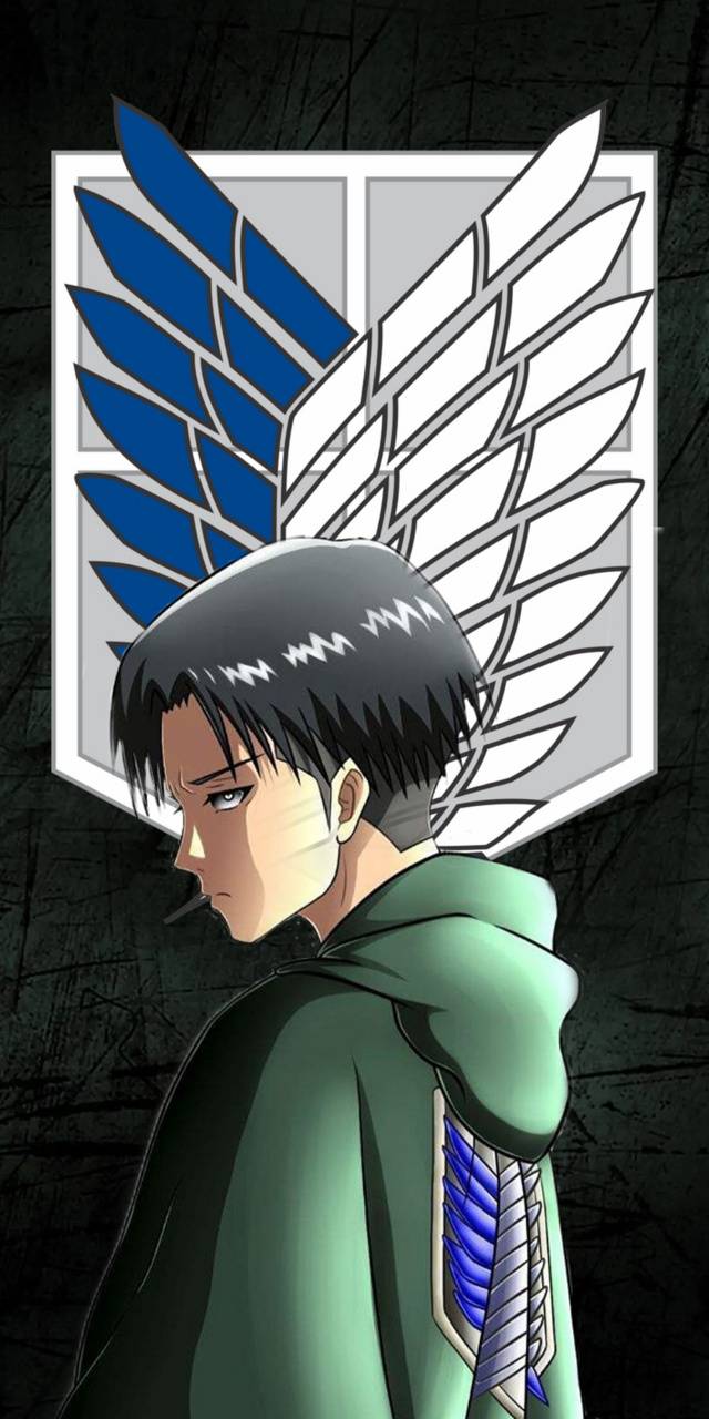640x1280 Attack on titan levi wallpaper by .