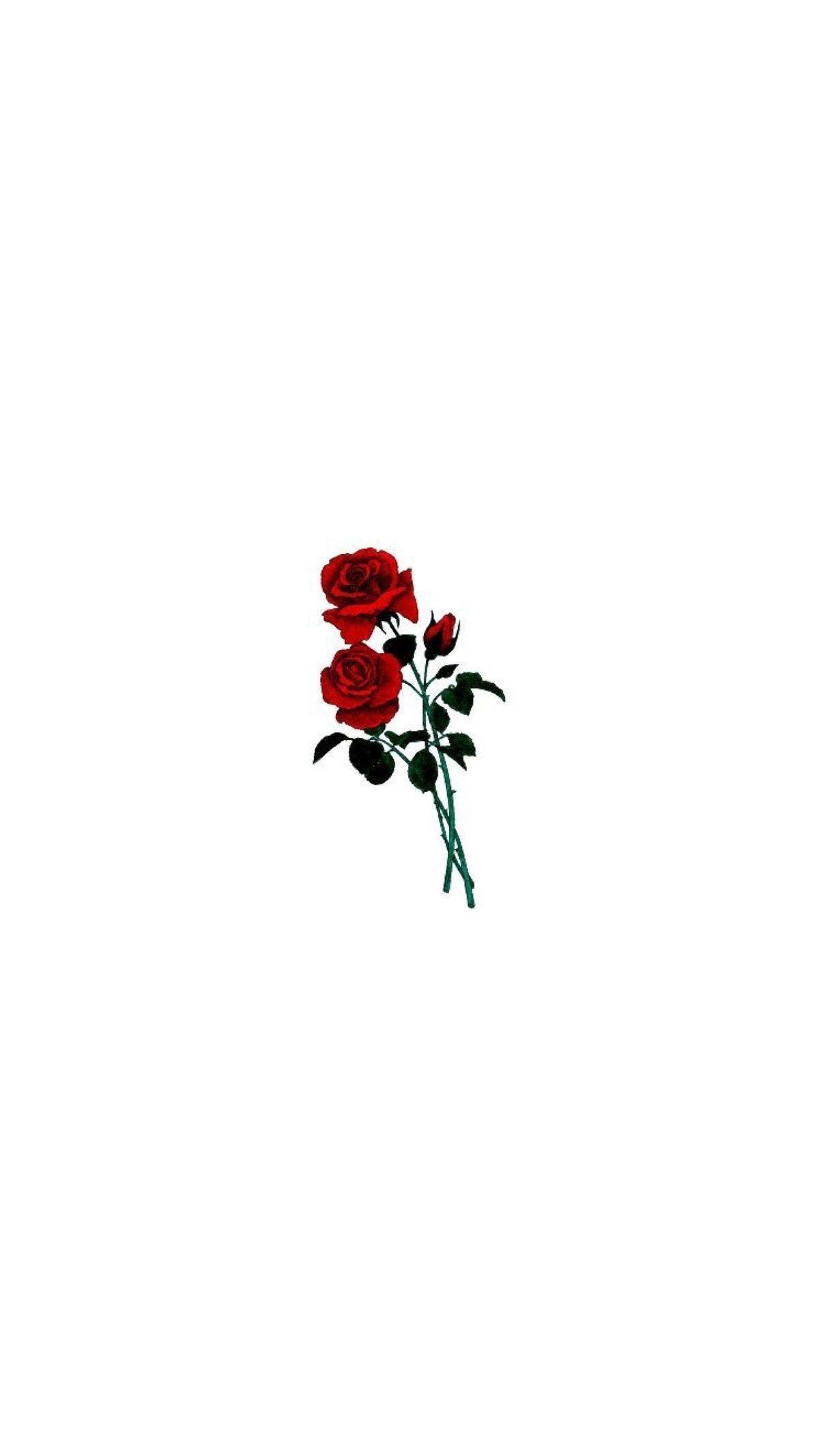 1200x2131 Rose wallpaper