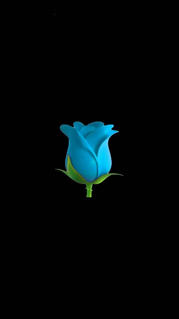 720x1280 Minimal Blue Rose wallpaper by .