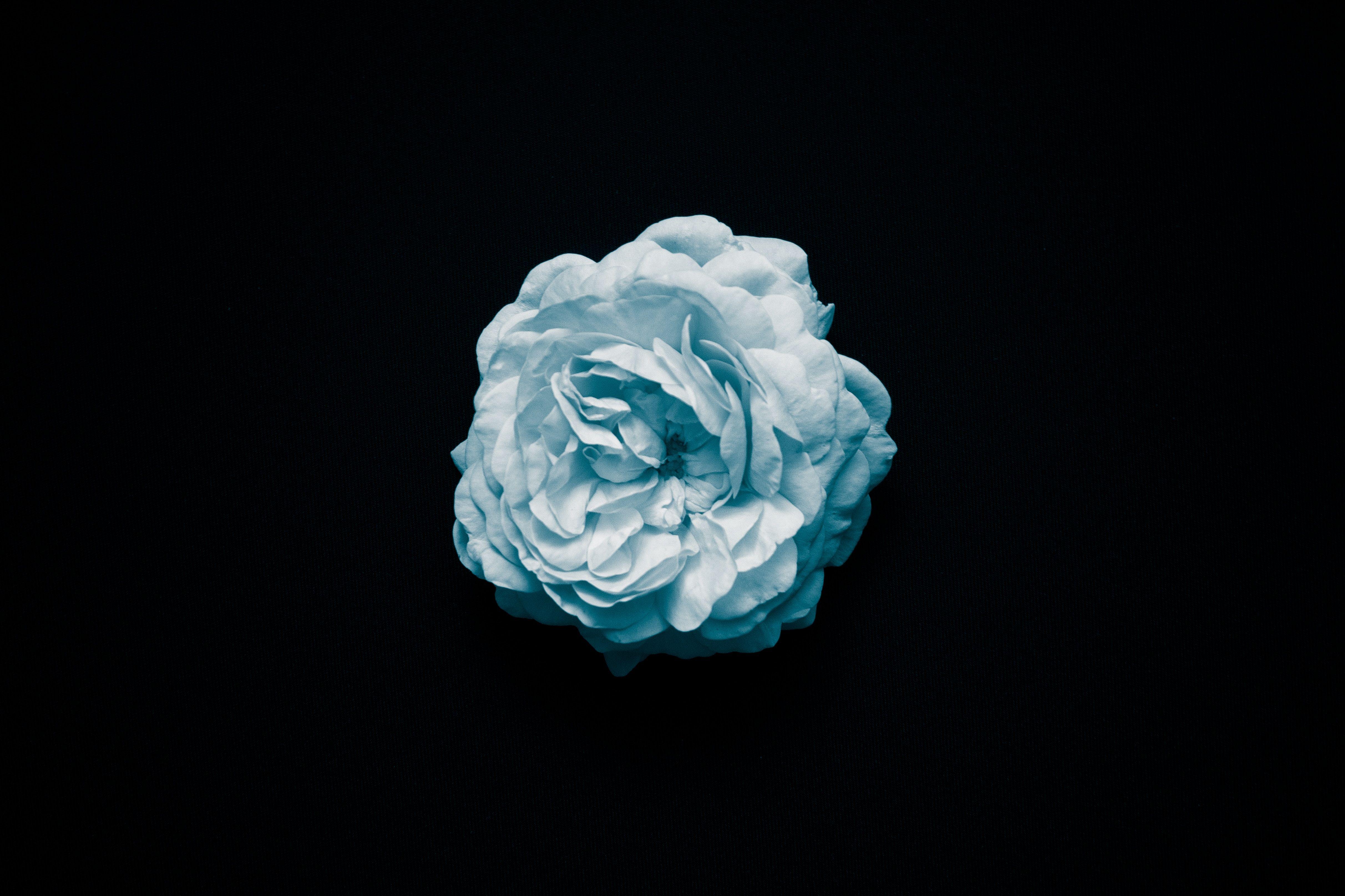 4849x3233 4849x3233 #centered, #space .