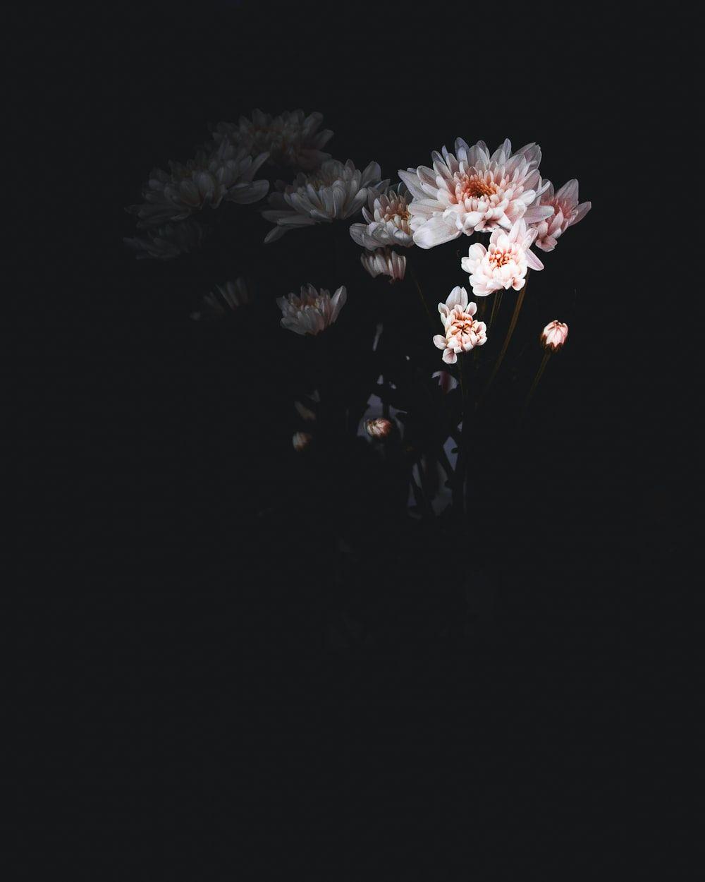 1000x1250 Minimalist Flower Picture. Download .com