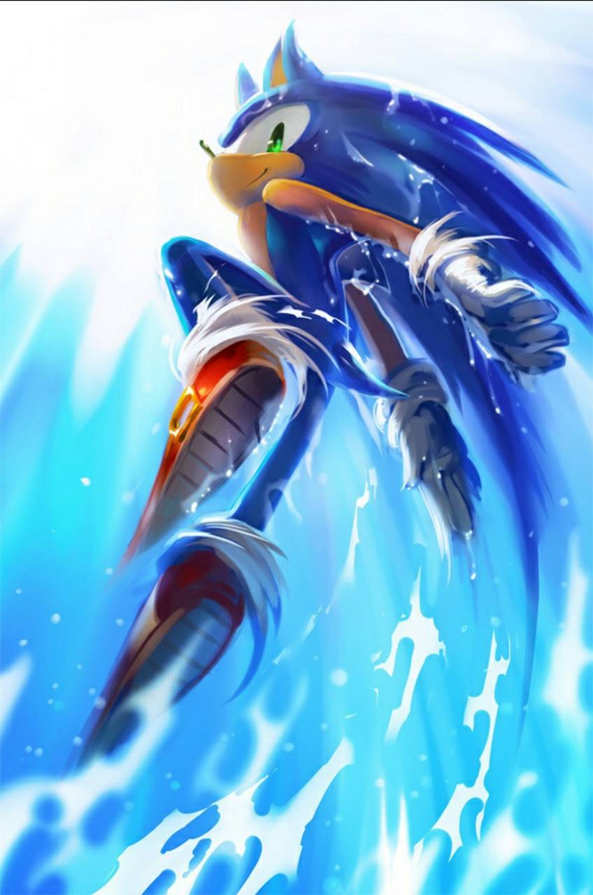 848x1280 Sonic Wallpaper