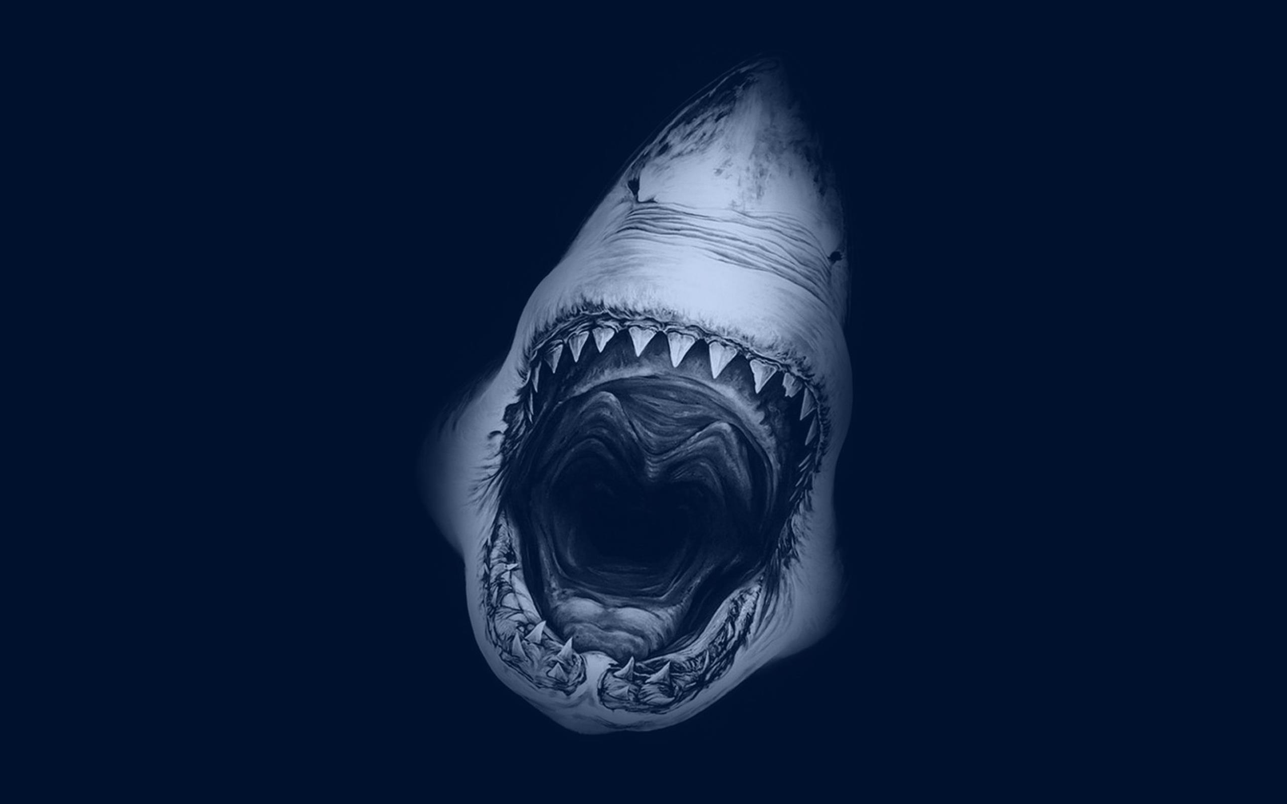 2560x1600 Shark For Desktop