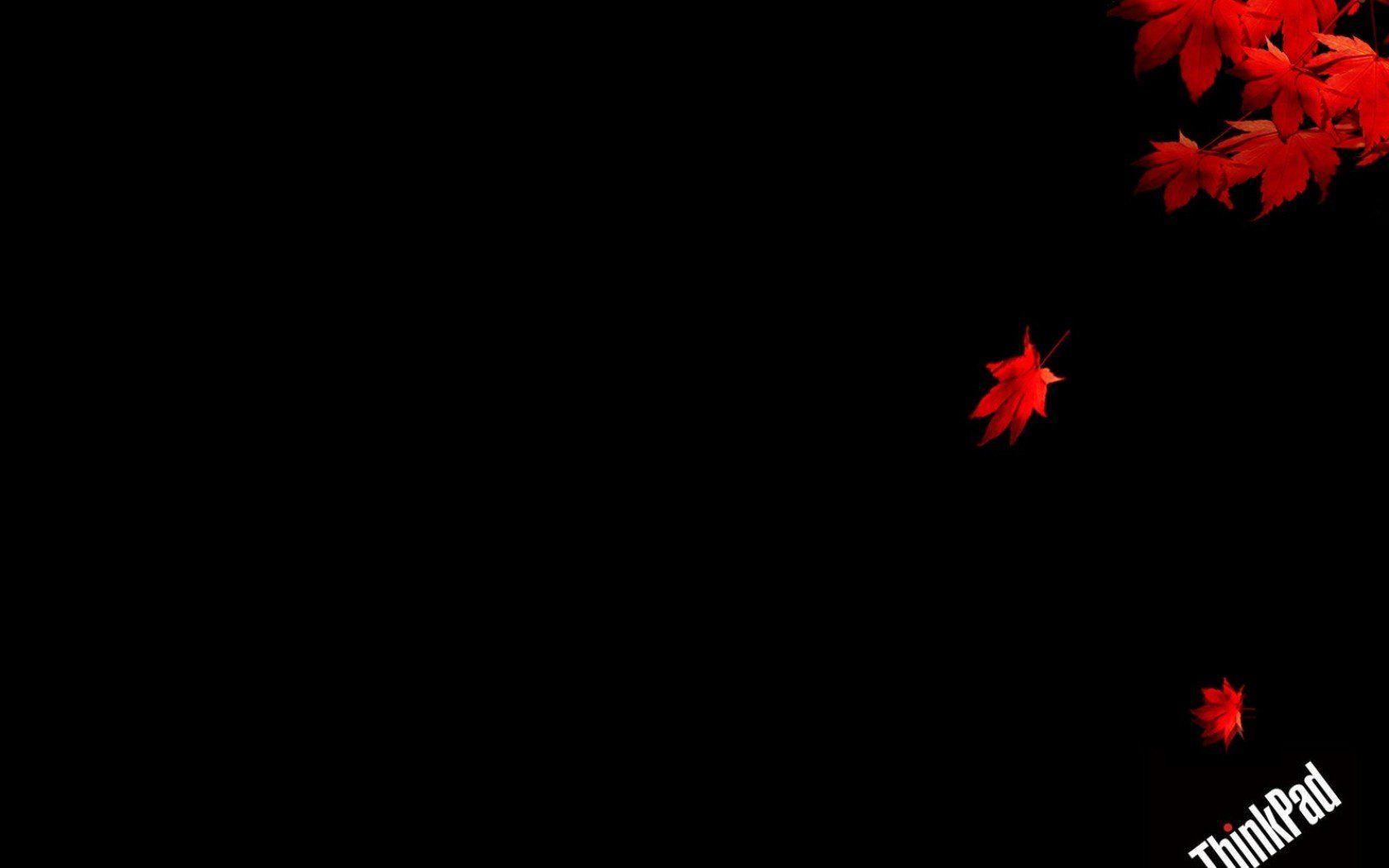 1680x1050 lenovo, Computer Wallpaper HD .