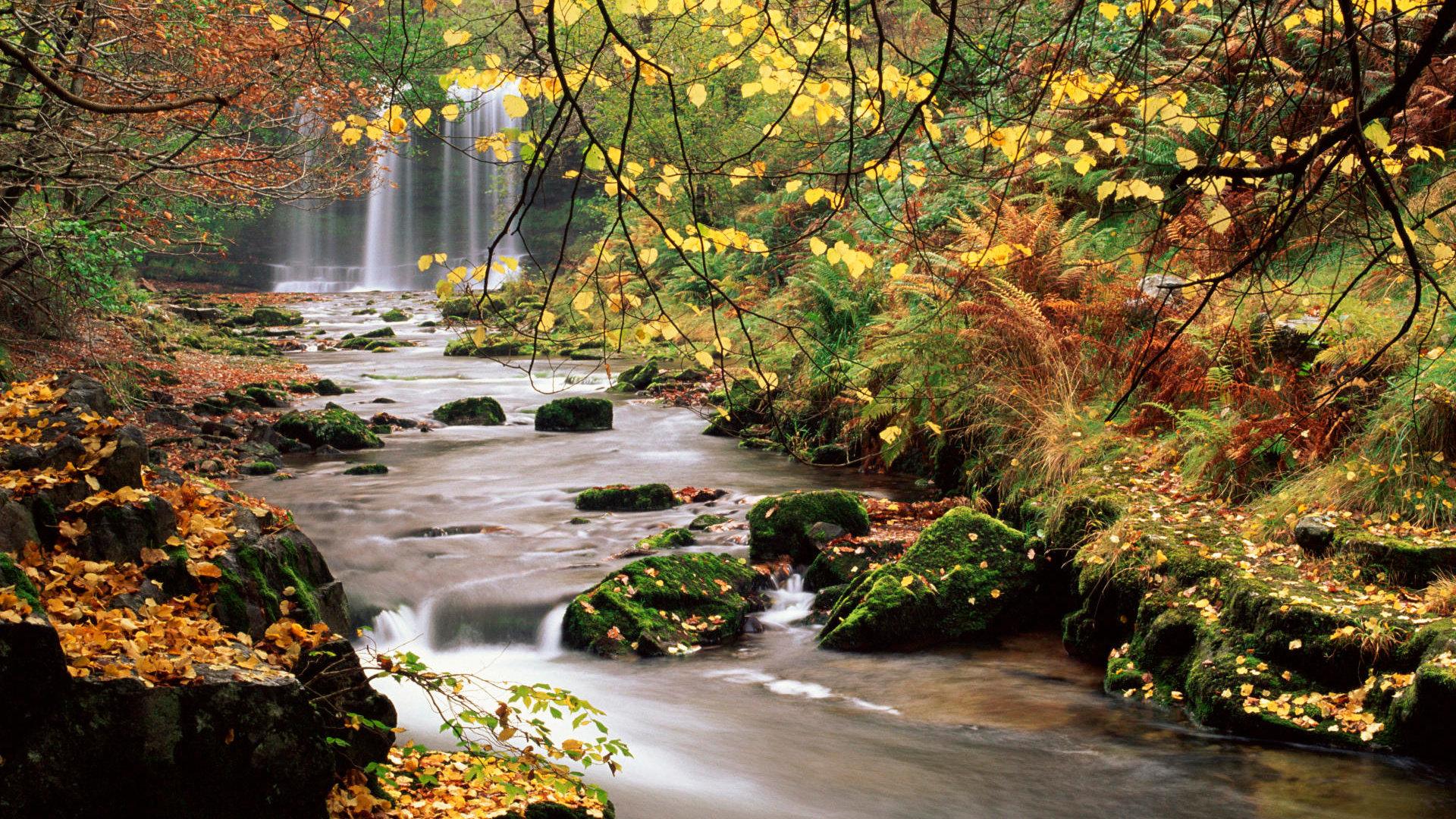 1920x1080 Nature wallpaper 1920x1080 Full HD .