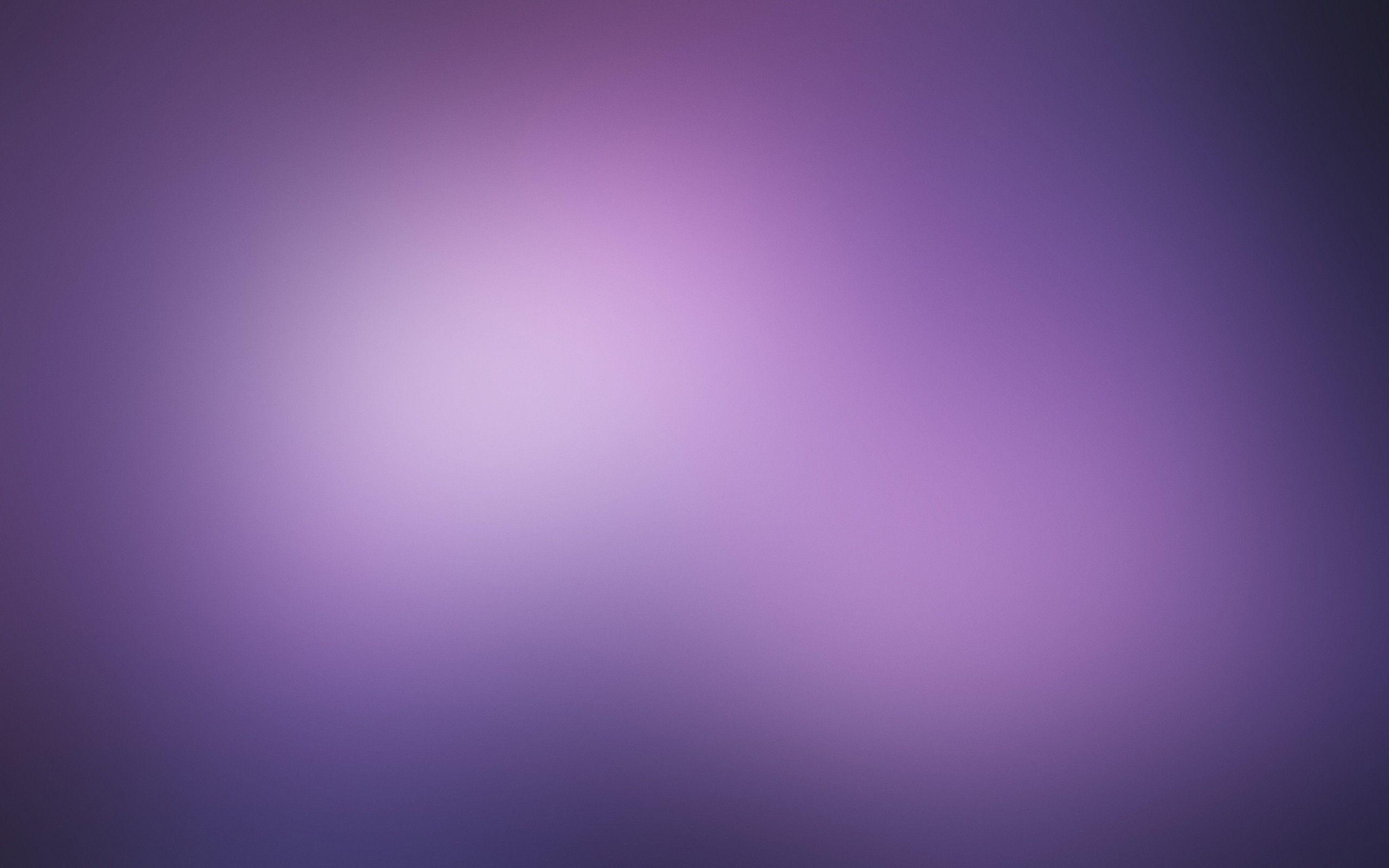 2560x1600 Purple Gradient Background HD .