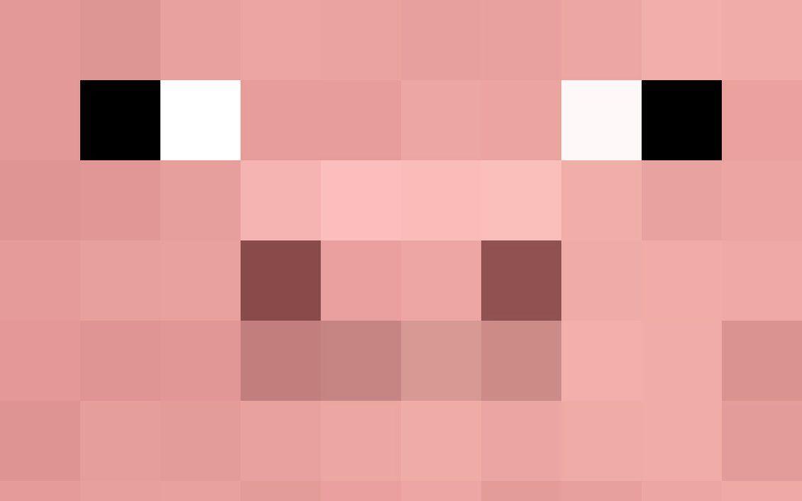 1131x707 Minecraft Pig