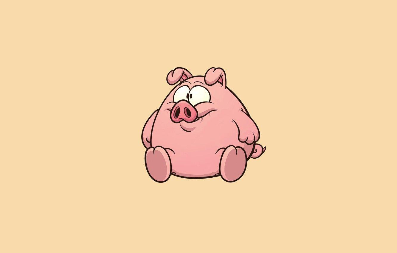 1332x850 Wallpaper minimalism, pig, light .